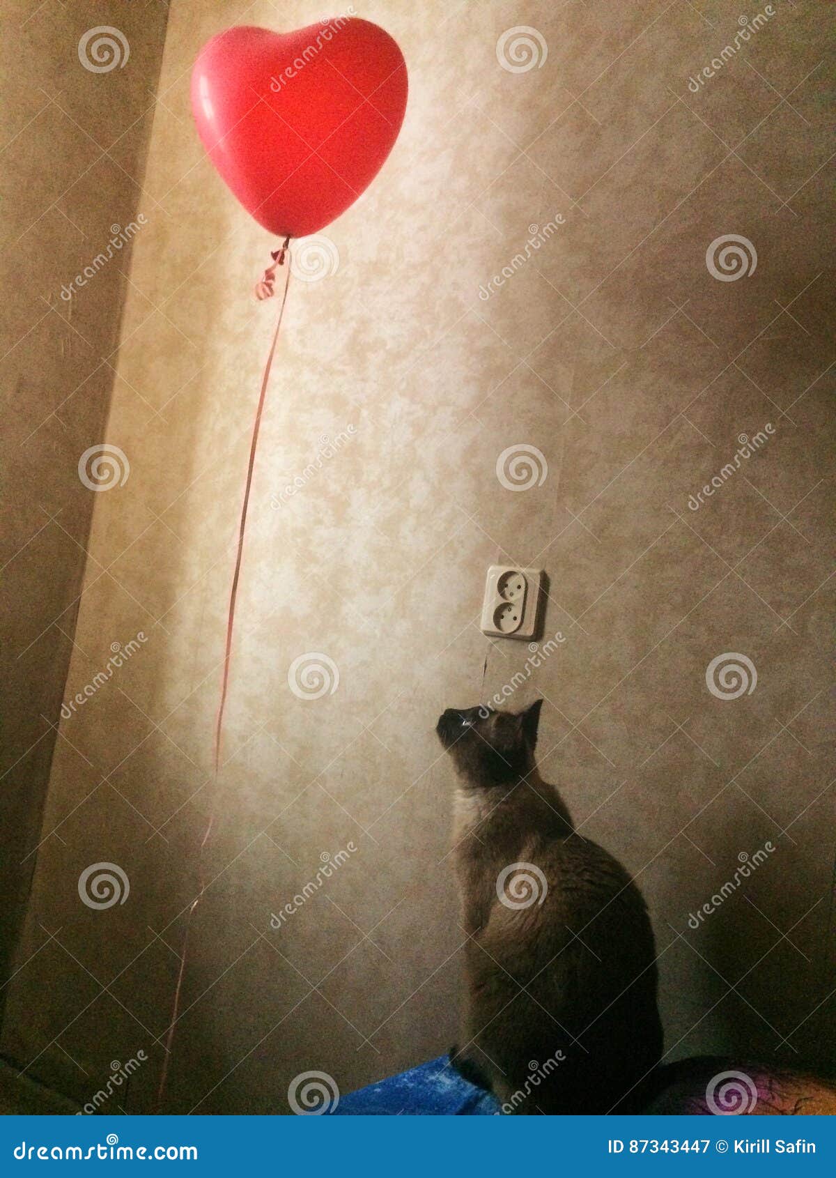 Amour Comme Rayon De Soleil Image Stock Image Du Rassemblement Besoins