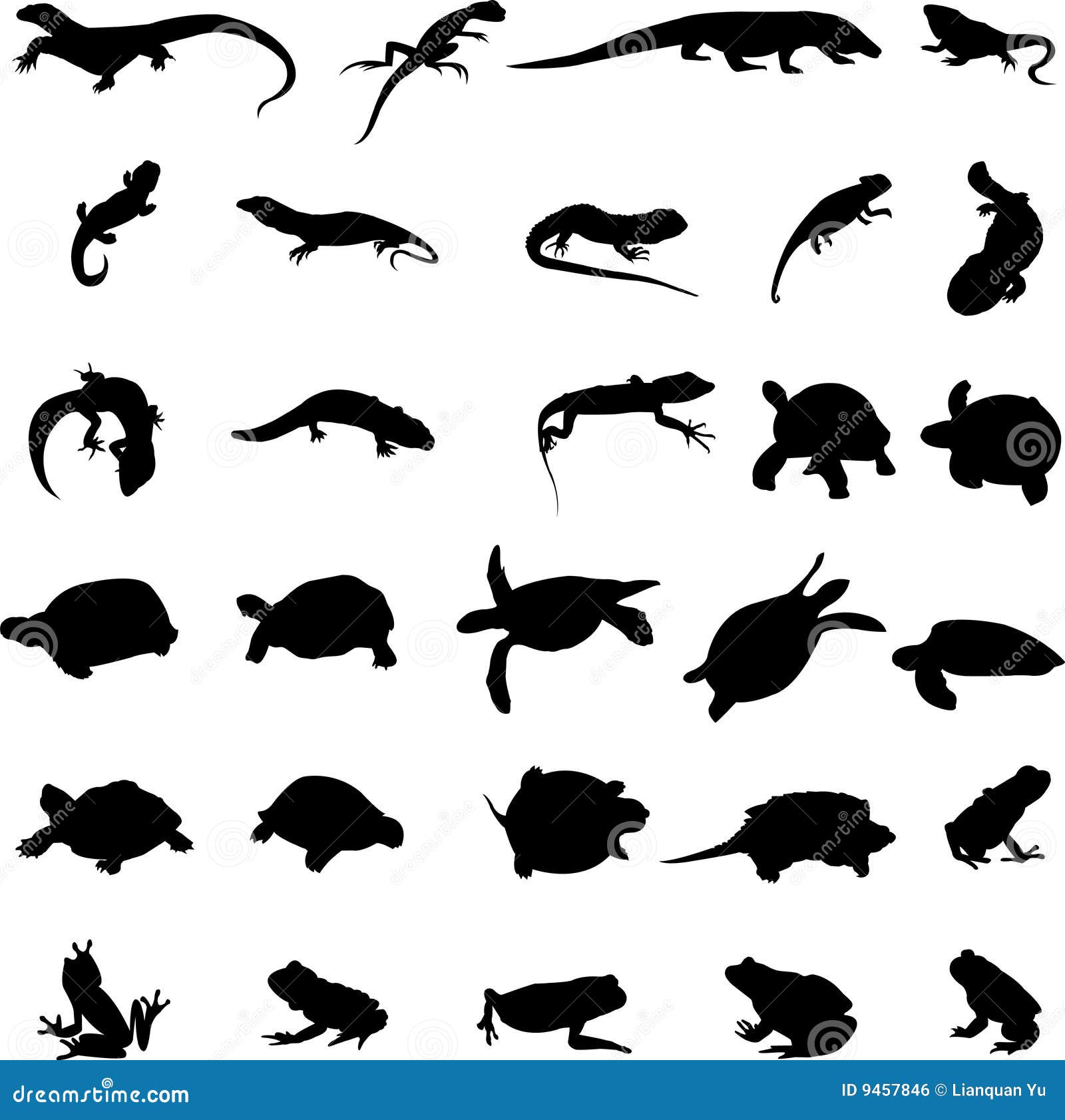 amphibians and reptiles