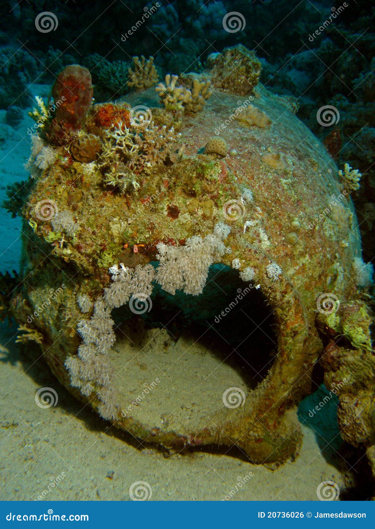 Amphora from ship wreck stock photo. Image of egypt, scuba 20736026