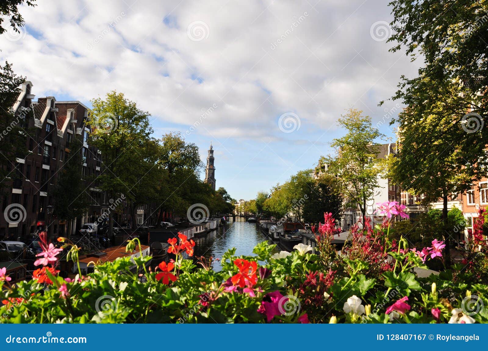 AmsterdamKanal Und Bunte Blumen Stockbild Bild von kultur, ernstlich