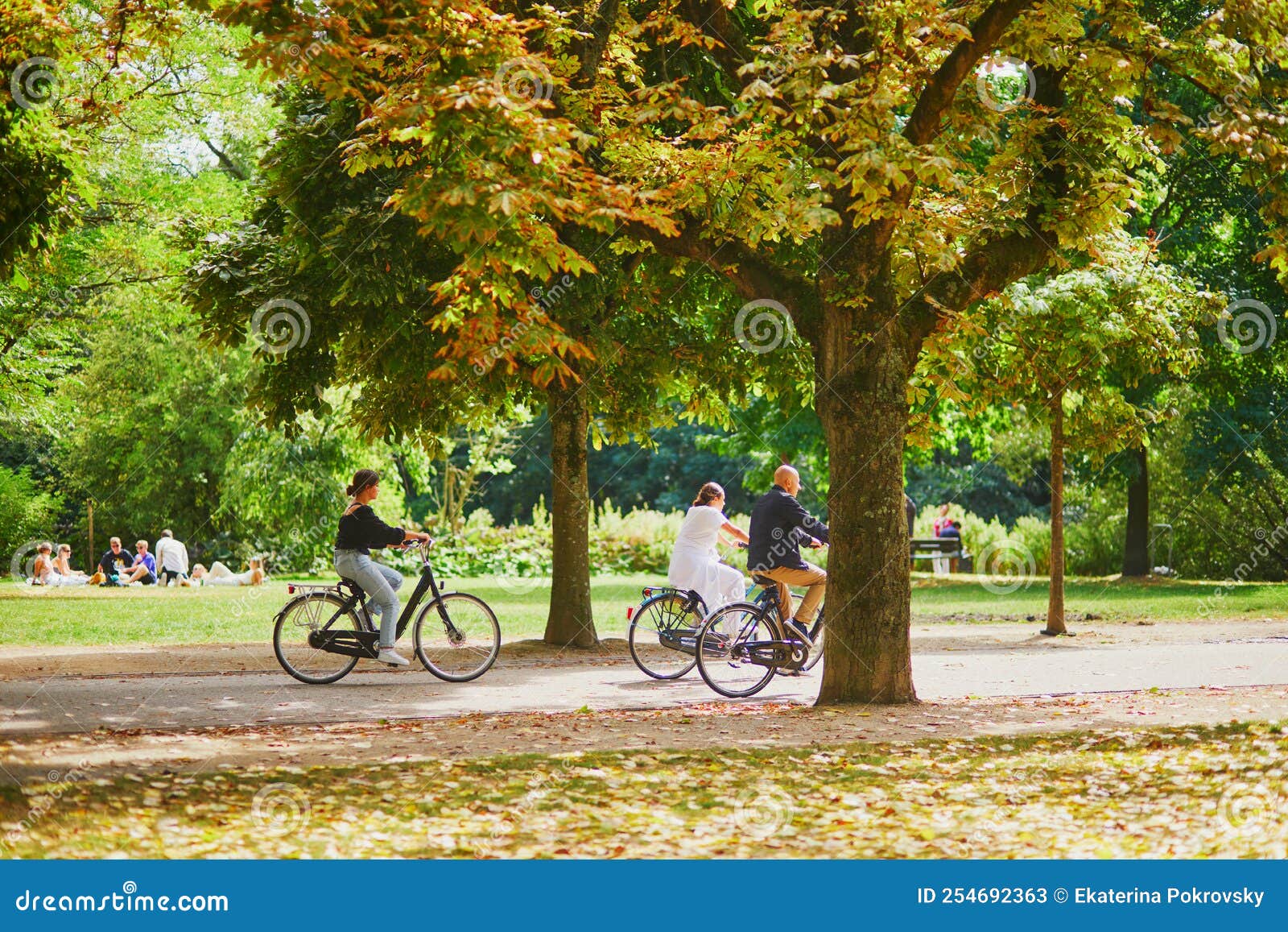 bicyclette verte pays bas