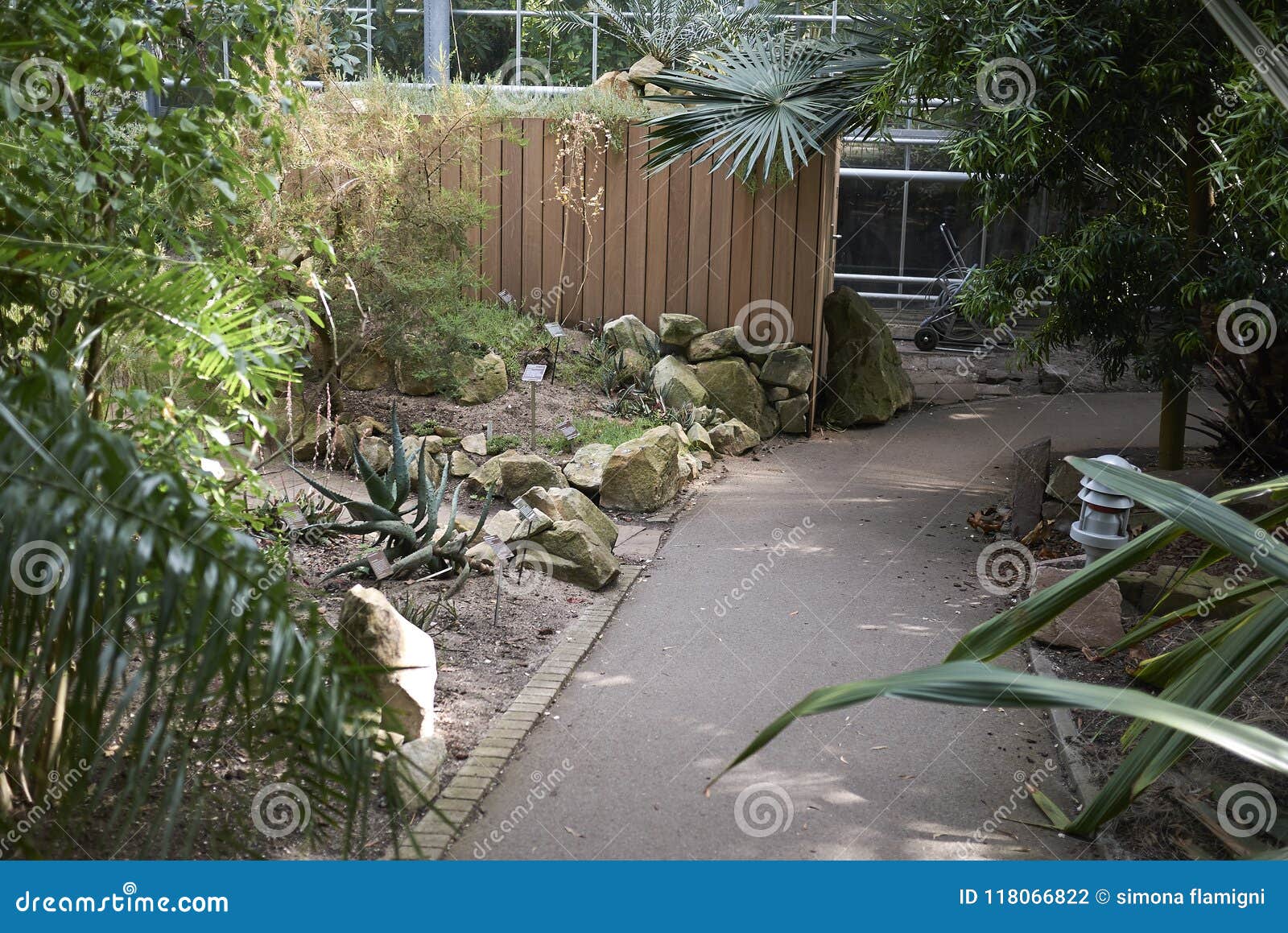 Amsterdam botanical garden editorial photography. Image of amsterdam