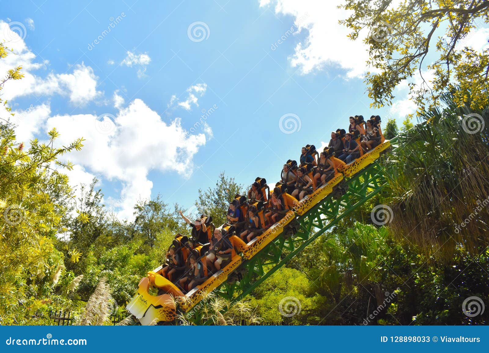 Amusement Cheetah Hunt Rollercoaster At Bush Gardens Riders