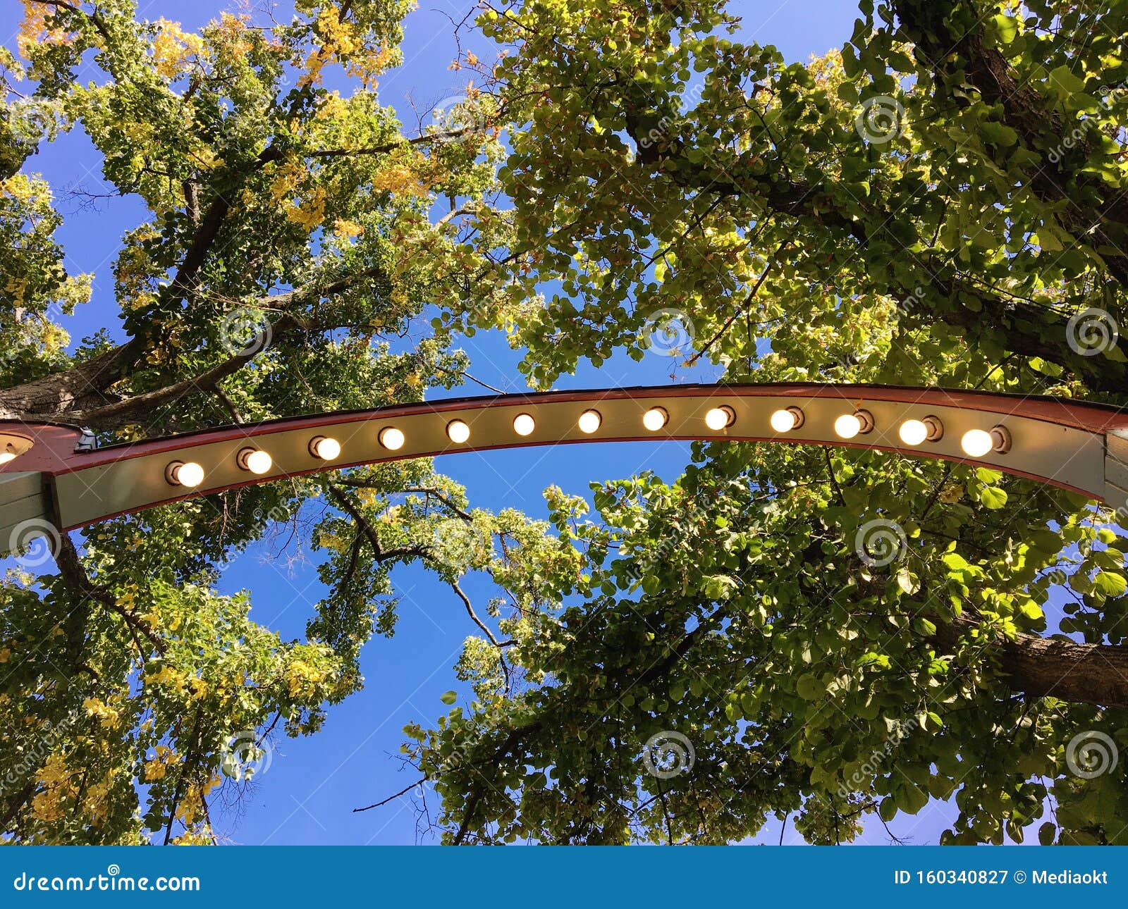 amusement park lights against some tree branches and blue sky in early autumn.
