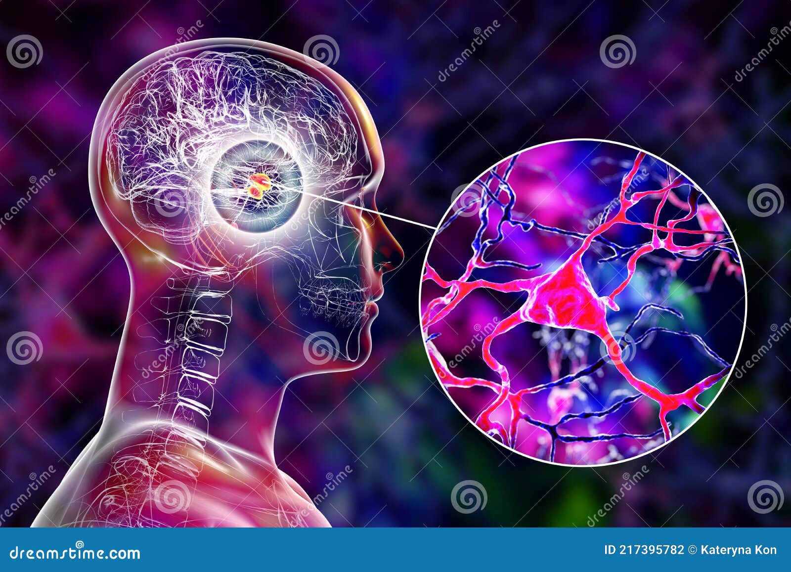 amygdala in the brain, and closeup view of amygdala neurons, 3d 