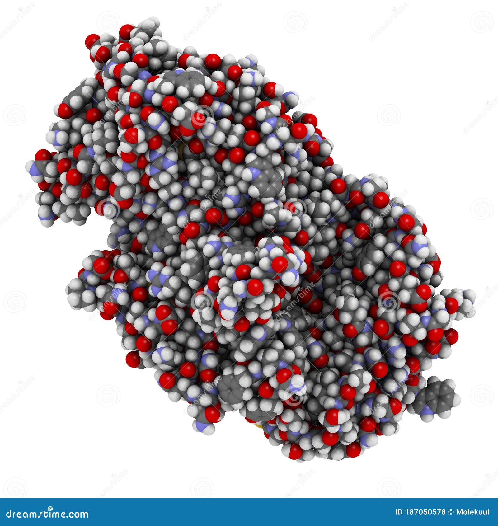 amylase and starch