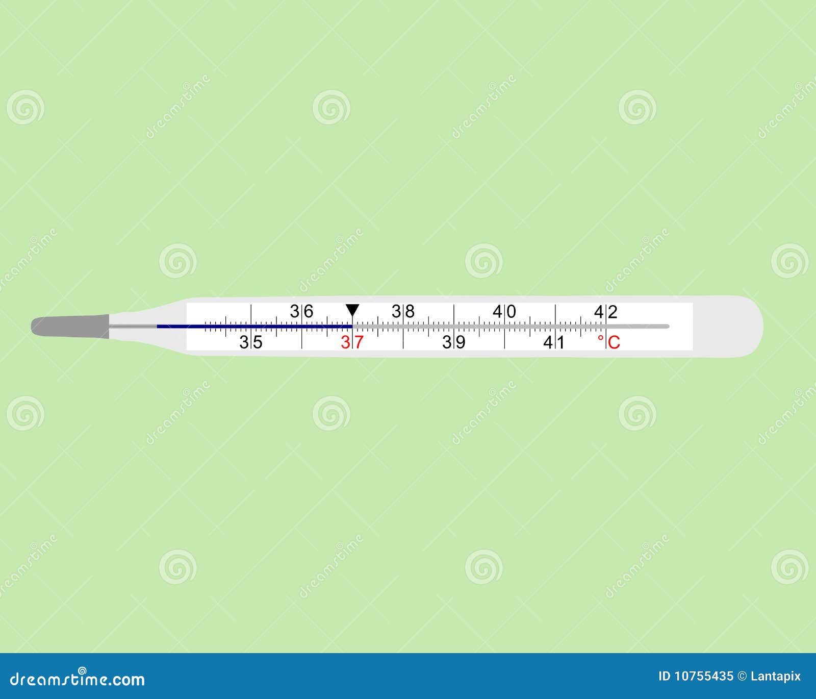 https://thumbs.dreamstime.com/z/analog-clinical-thermometer-10755435.jpg