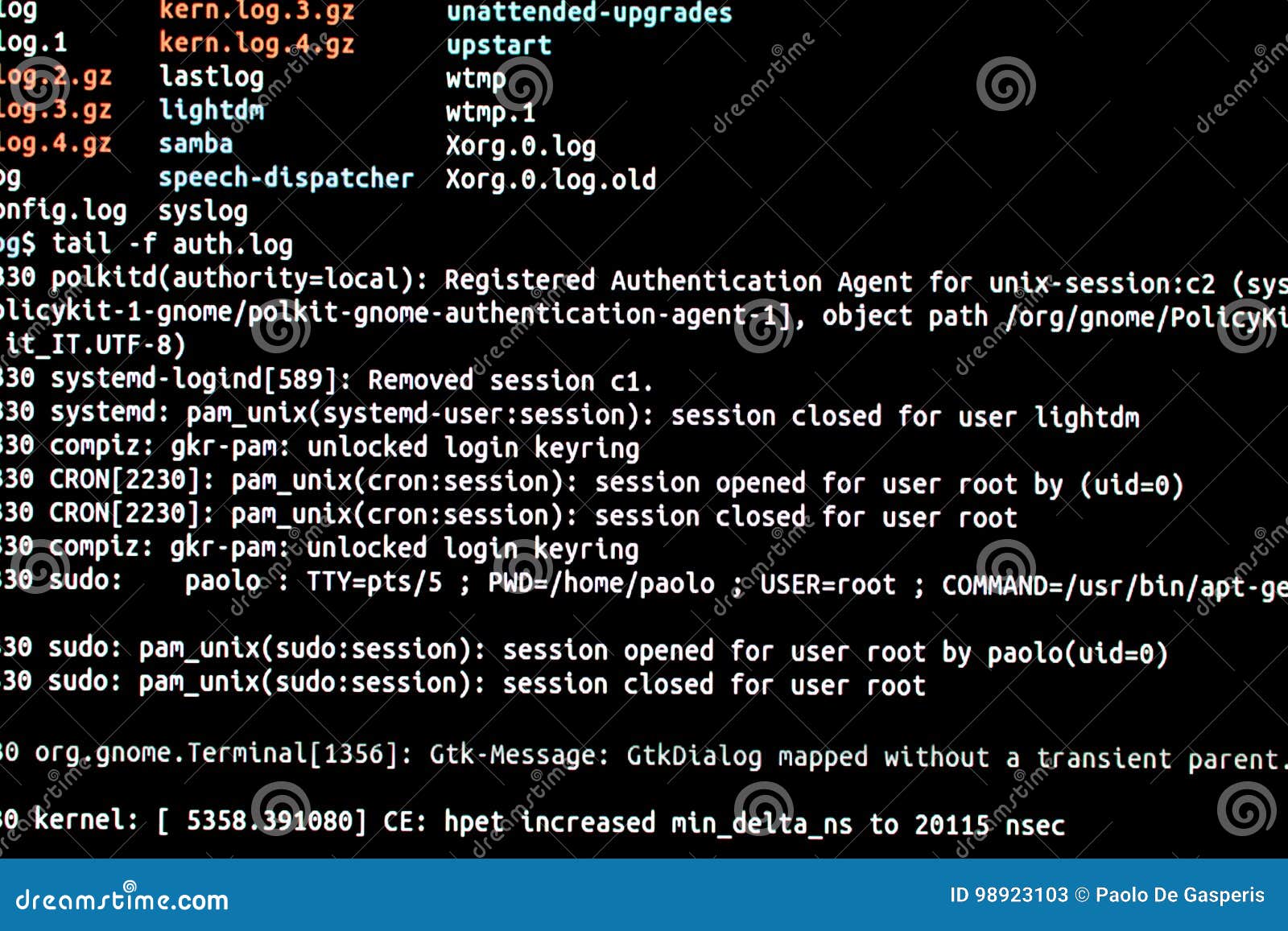 Terminal log