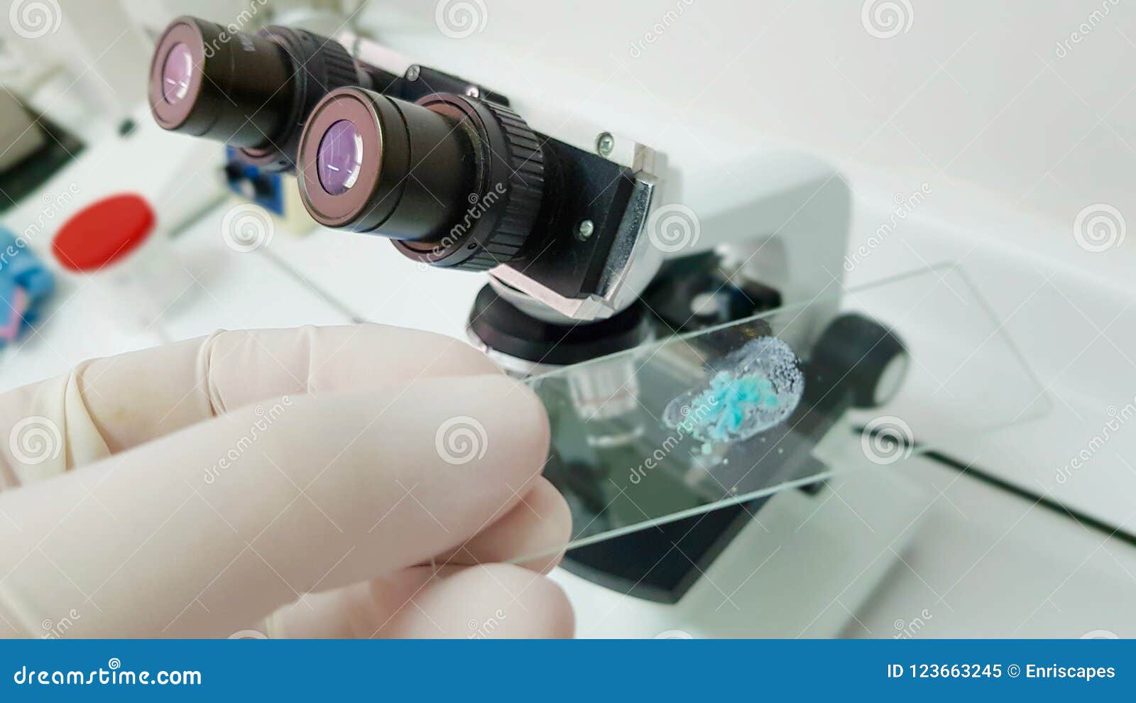 Analysis of Microbiological Sample Stock Image Image of discovery