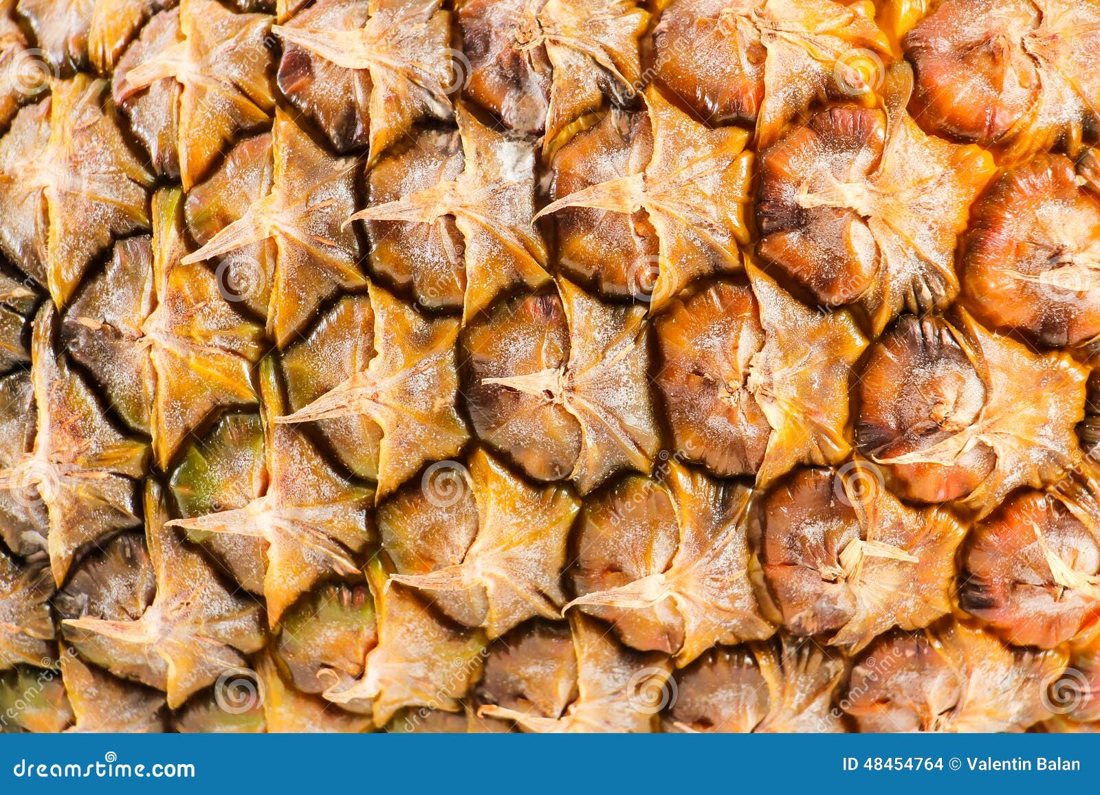 Ananas lokalisiert auf weißem Hintergrund