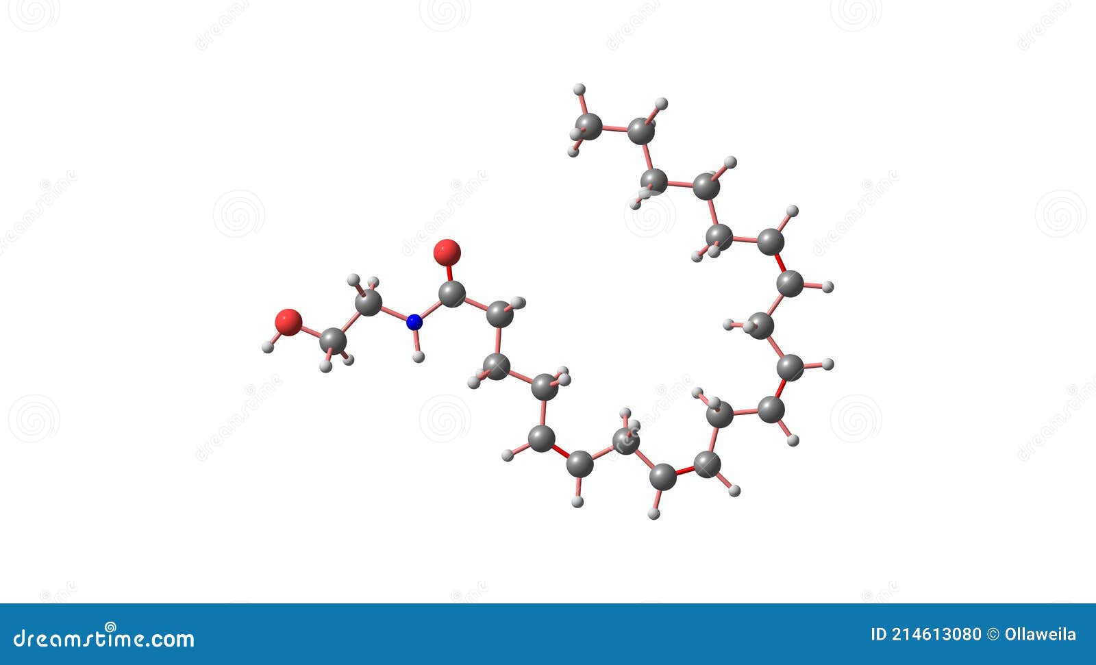 anandamide molecular structure  on white