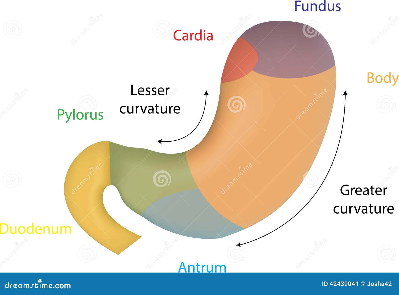 download introduction to