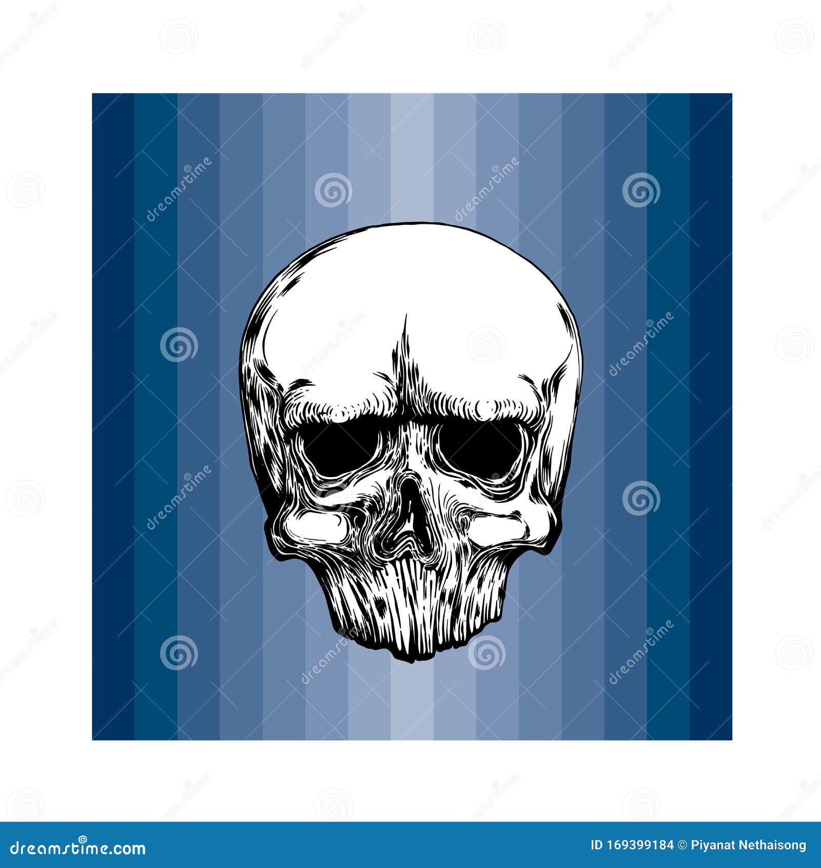 Anatomic Skull Vector Art Detailed Hand Drawn Illustration Of Skull