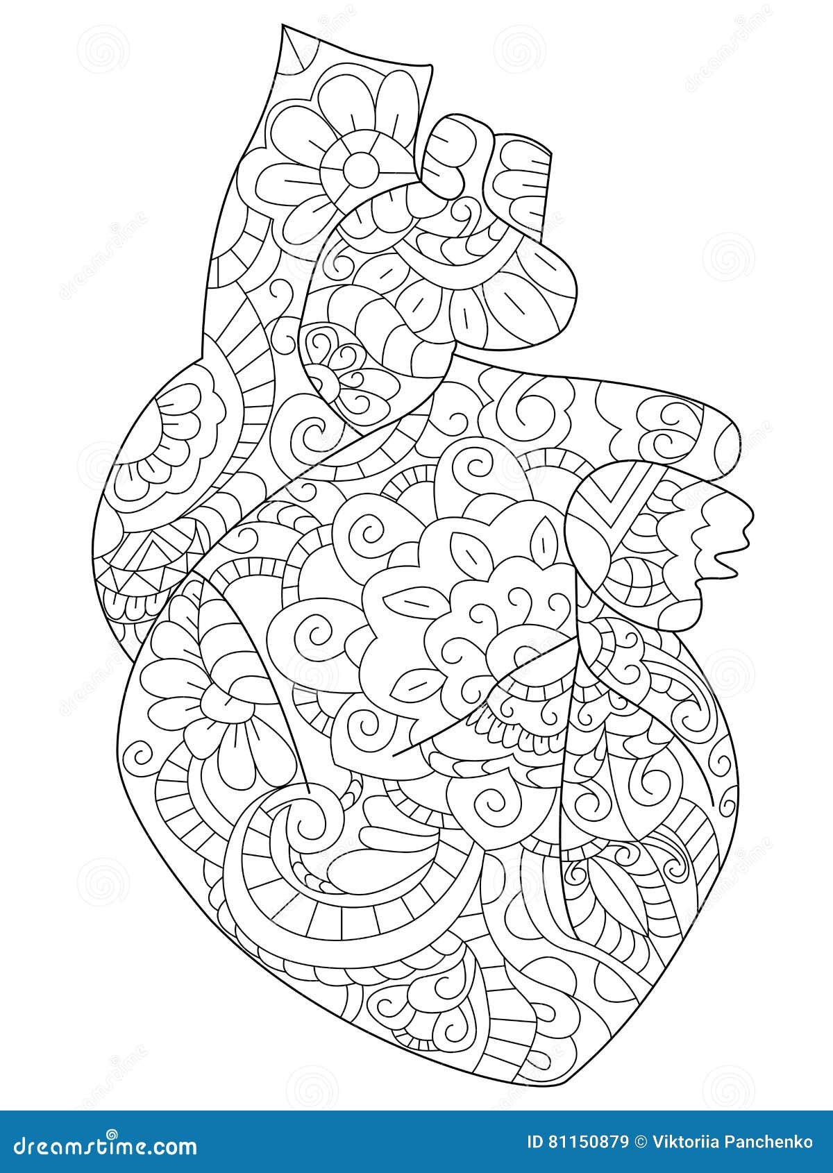 heart anatomy coloring page