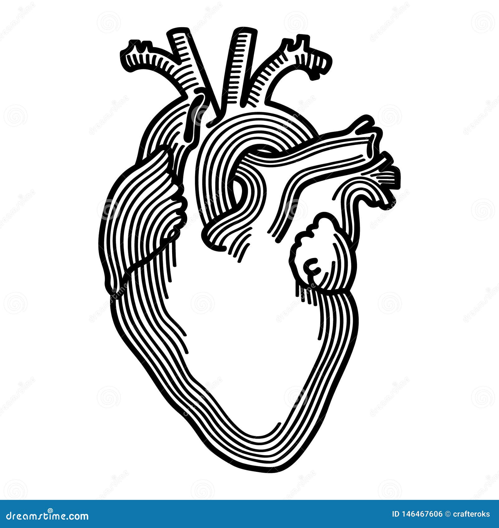 Download Anatomical Heart Hand Drawn Crafteroks Svg Free, Free Svg ...