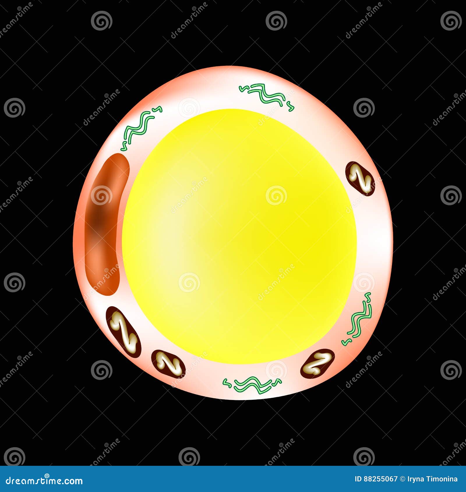 My Image 28