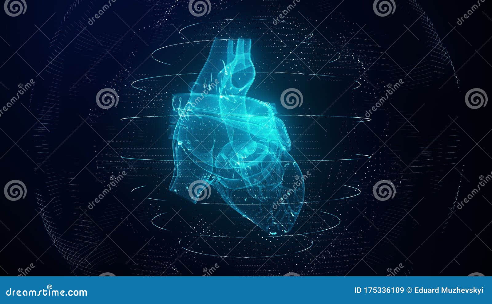 3d content central anatomic human 3d content central anatomic human