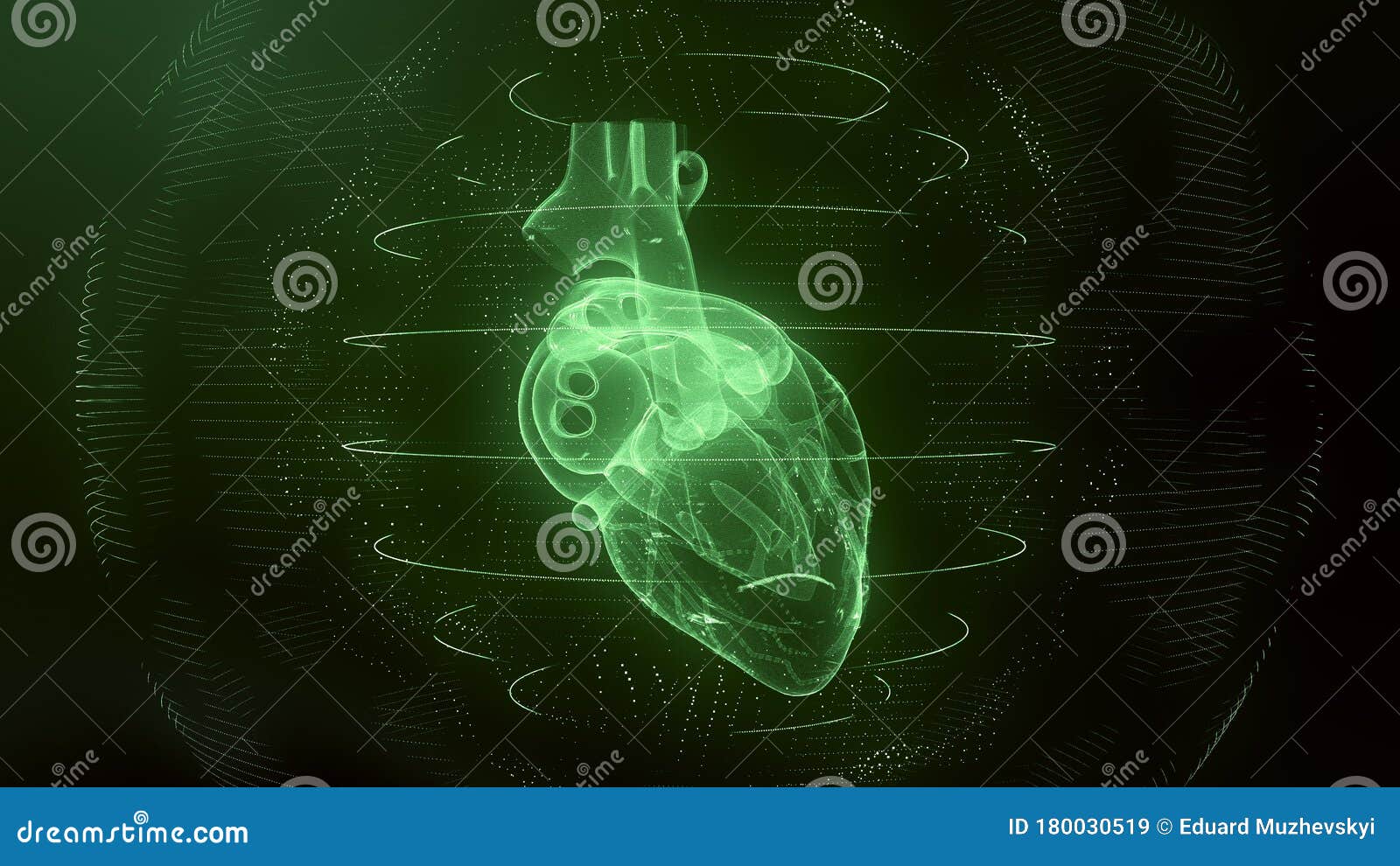 anatomically correct green digital human heart. futuristic particle cardiac scan