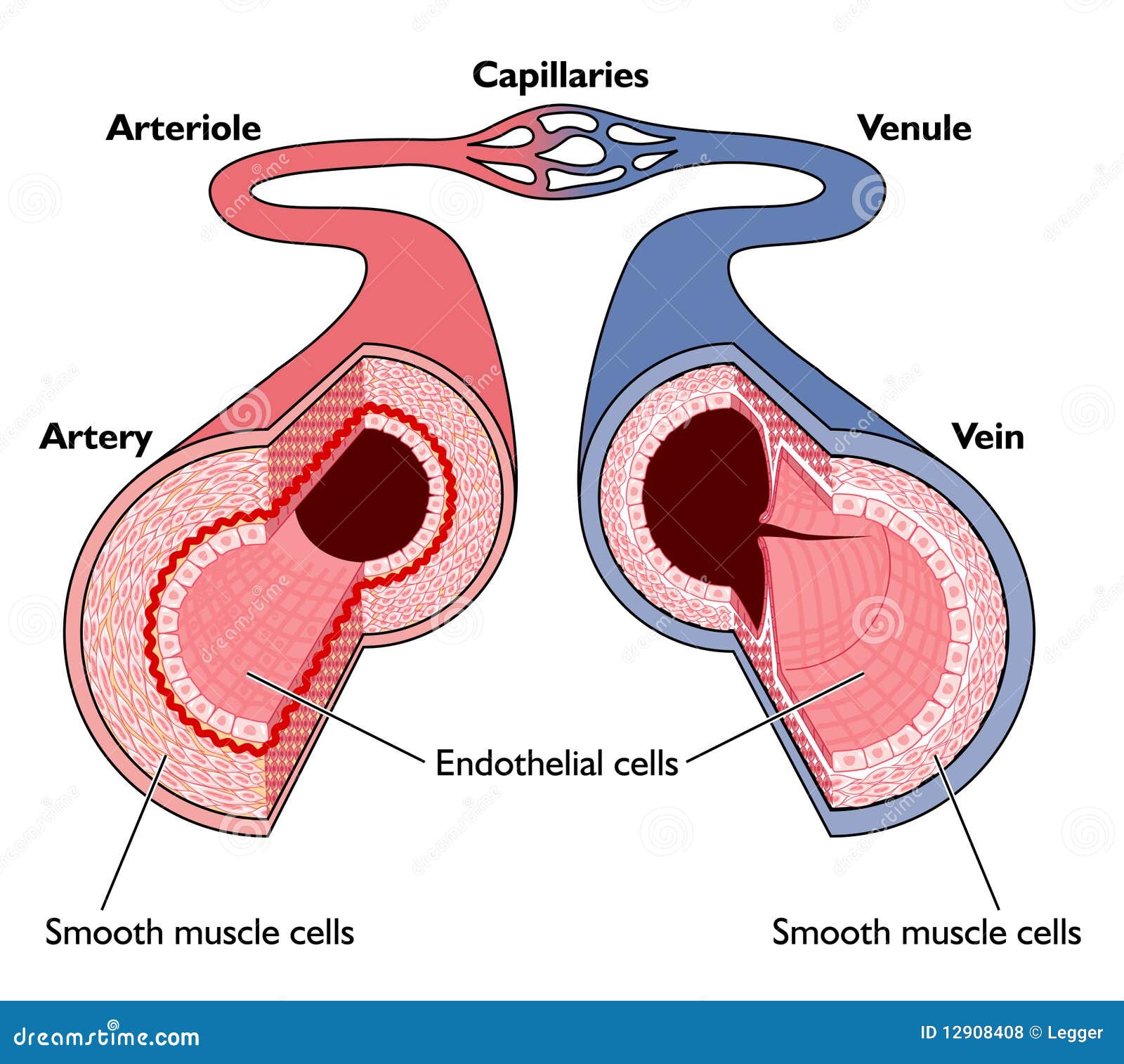 De bronafbeelding bekijken