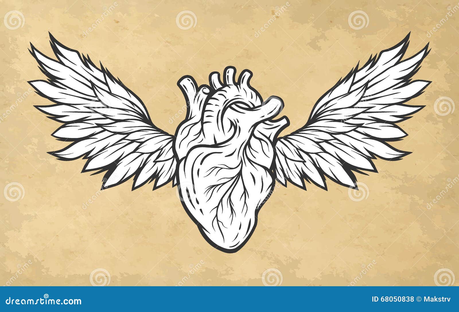 Anatomisches Herz Mit Flugelsymbol Vektor Abbildung Illustration Von Graphik Anatomie
