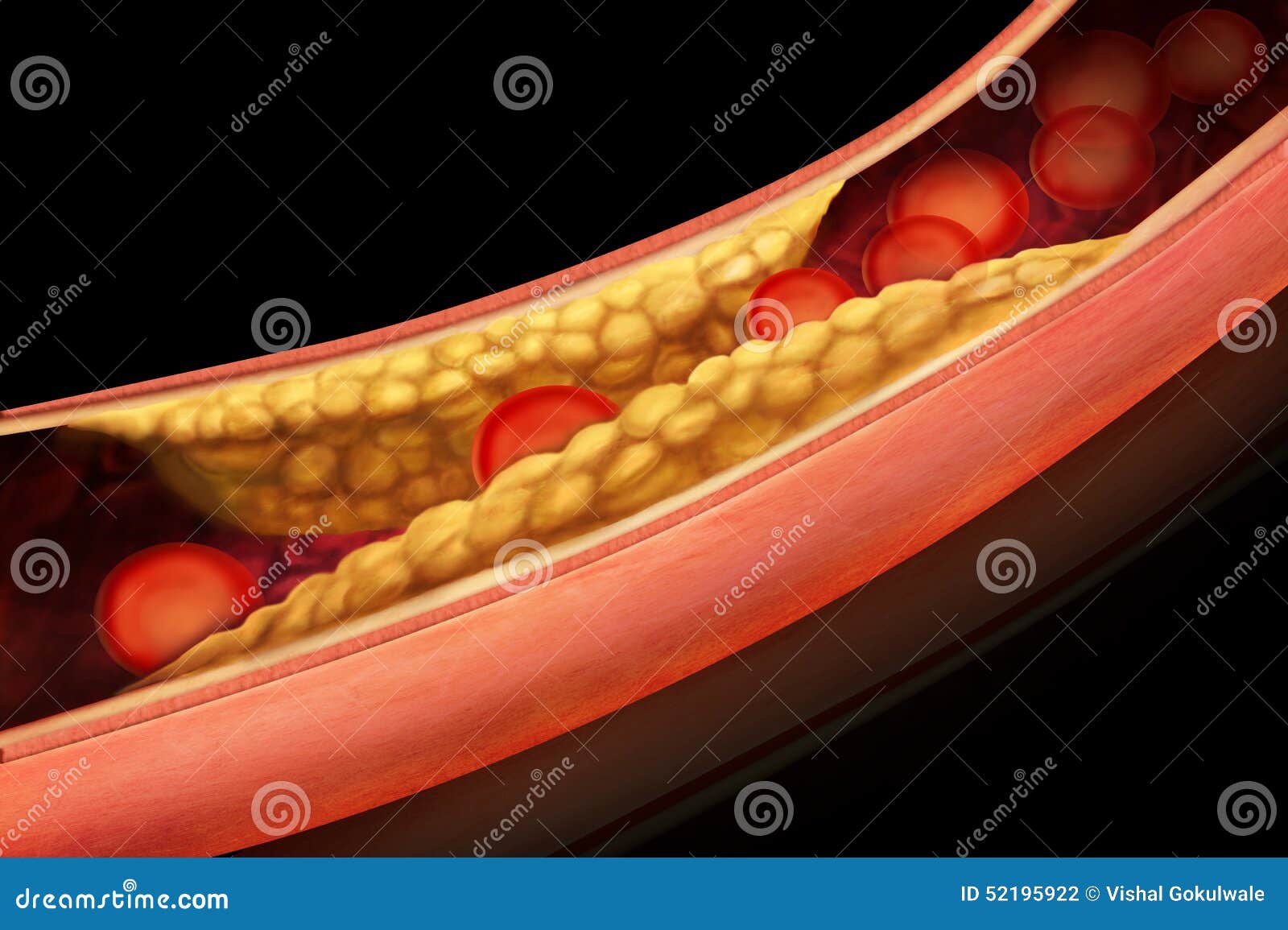 download physical chemical techniques physical techniques in biological