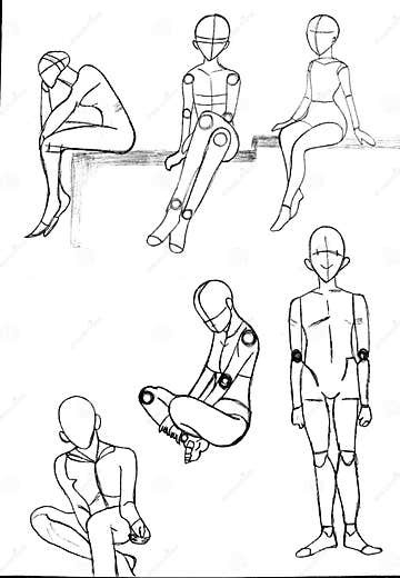 Anatomy Drawing of a Human Sitting and Standing Stock Photo - Image of ...