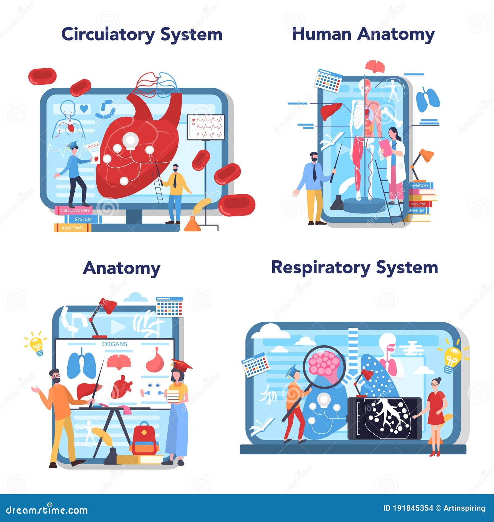 Anatomy Education Online Service or Platform Set. Internal Human Stock ... Biology Diagrams