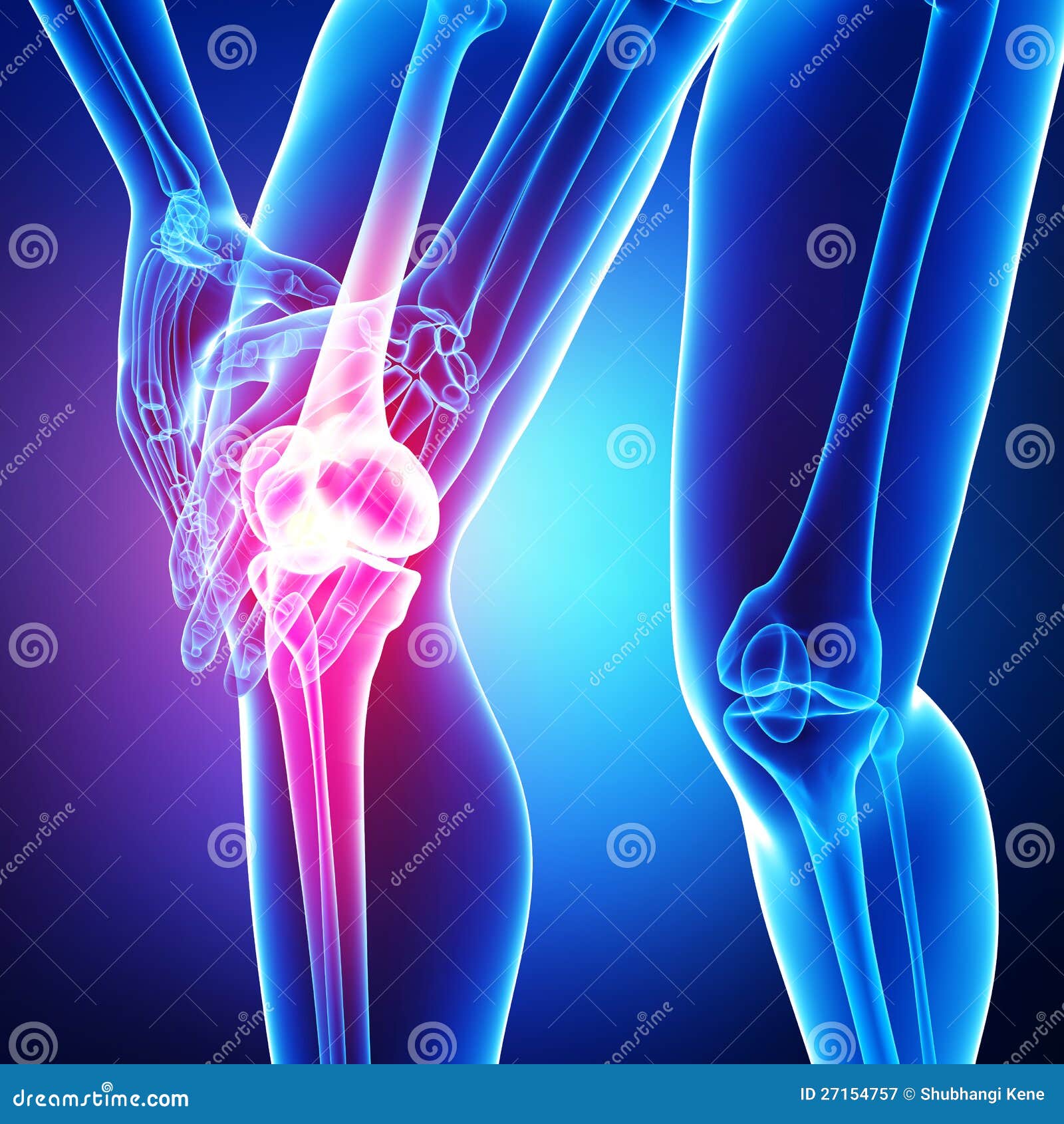 Anatomy of Knee Pain Isolated in Blue Stock Illustration Illustration