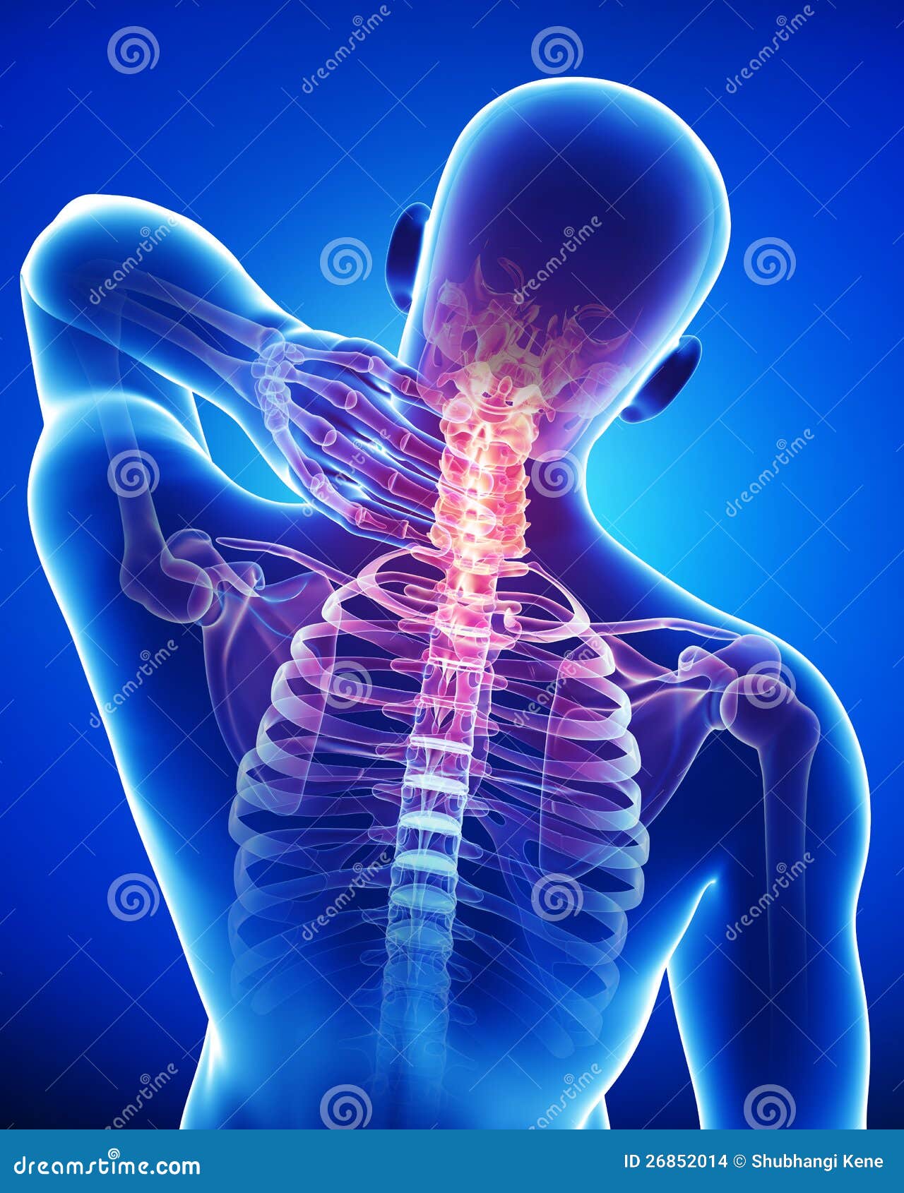 anatomy of male back and neck pain in blue