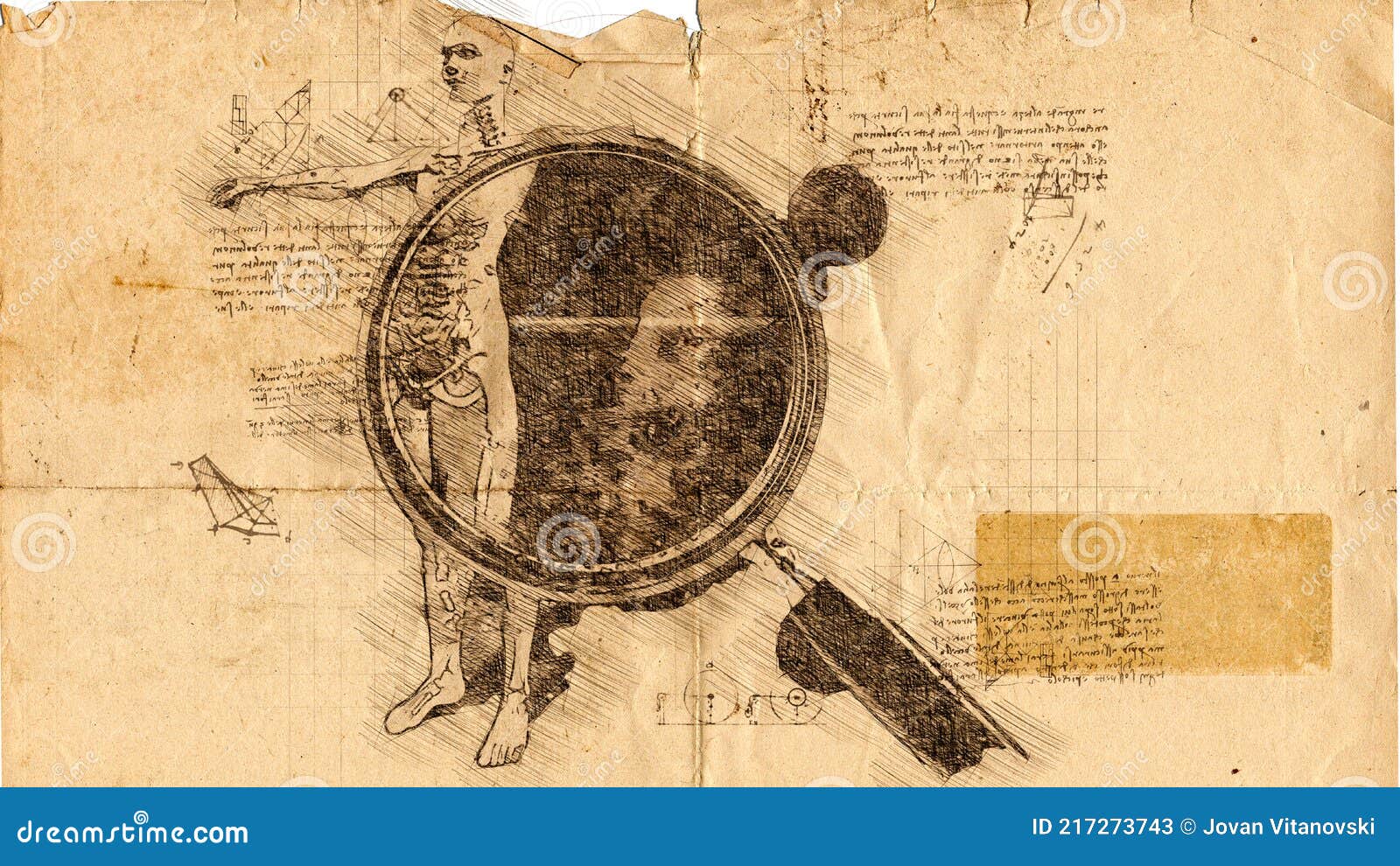 anatomy of man under magnifying glass in leonardo da vinci style