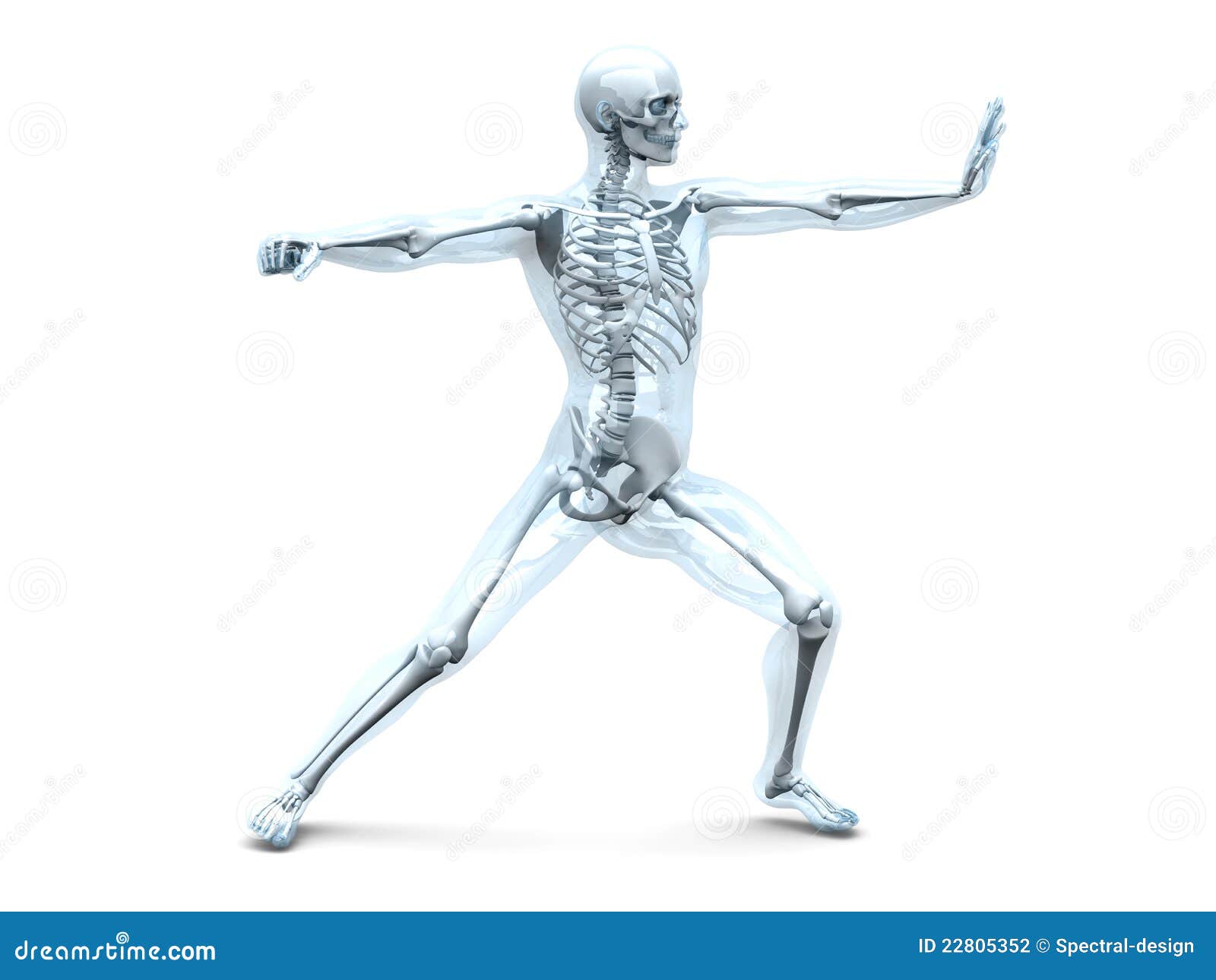 Anatomy Martial Arts stock illustration. Image of fight 22805352