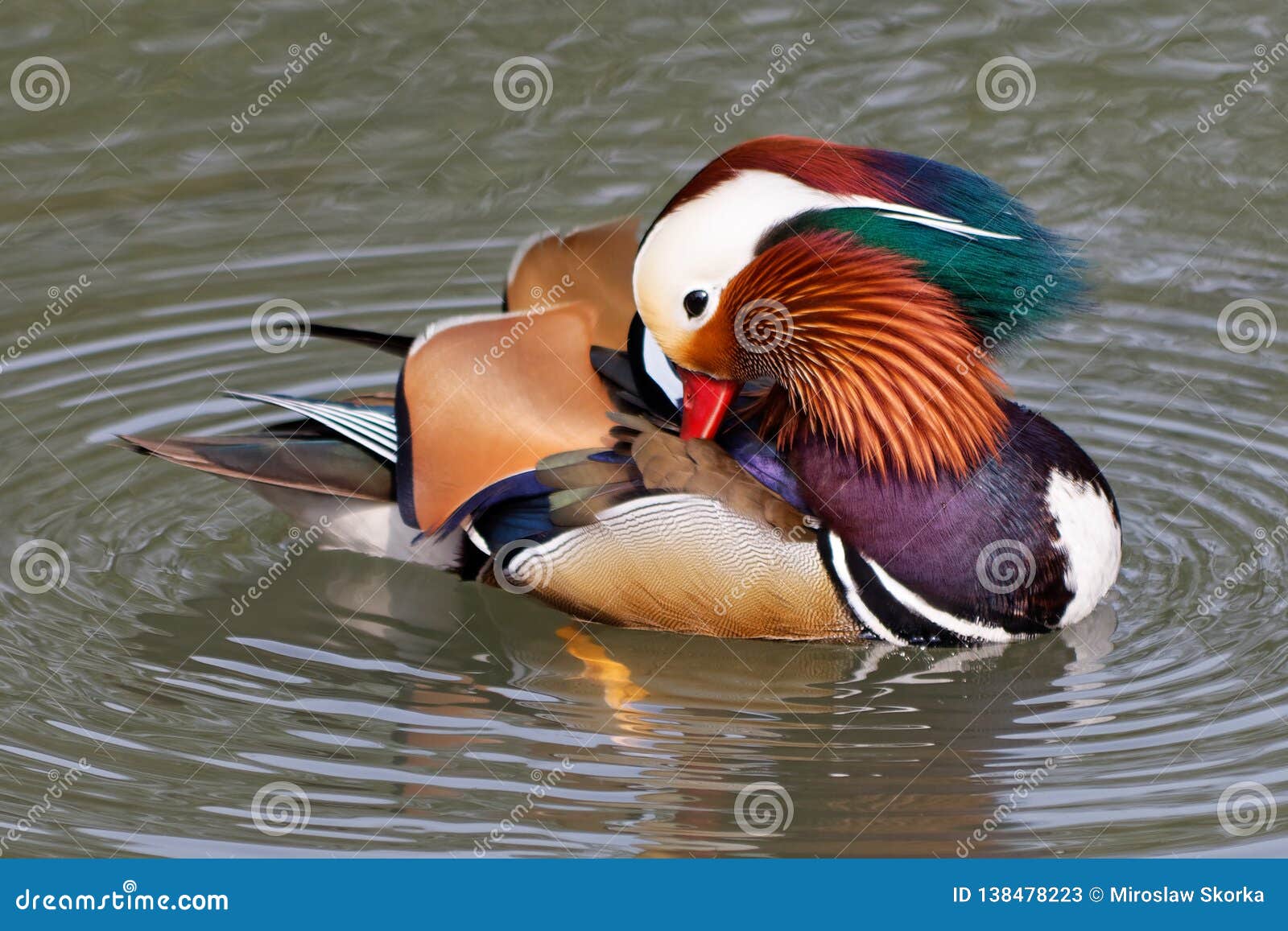 Anatre Ornamentali Esterne Coppia Di Anatre Che Leggono In Resina - Decorazione Giardino 22cm - Stile Rustico Per Esterni E Interni Statua Da Giardino Esterno - Foto 5