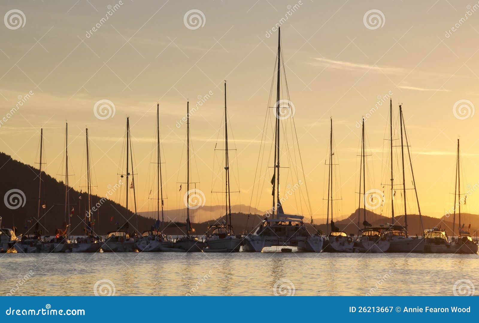 Anchored Boats during Sunset Stock Image Image of salt, adjacent