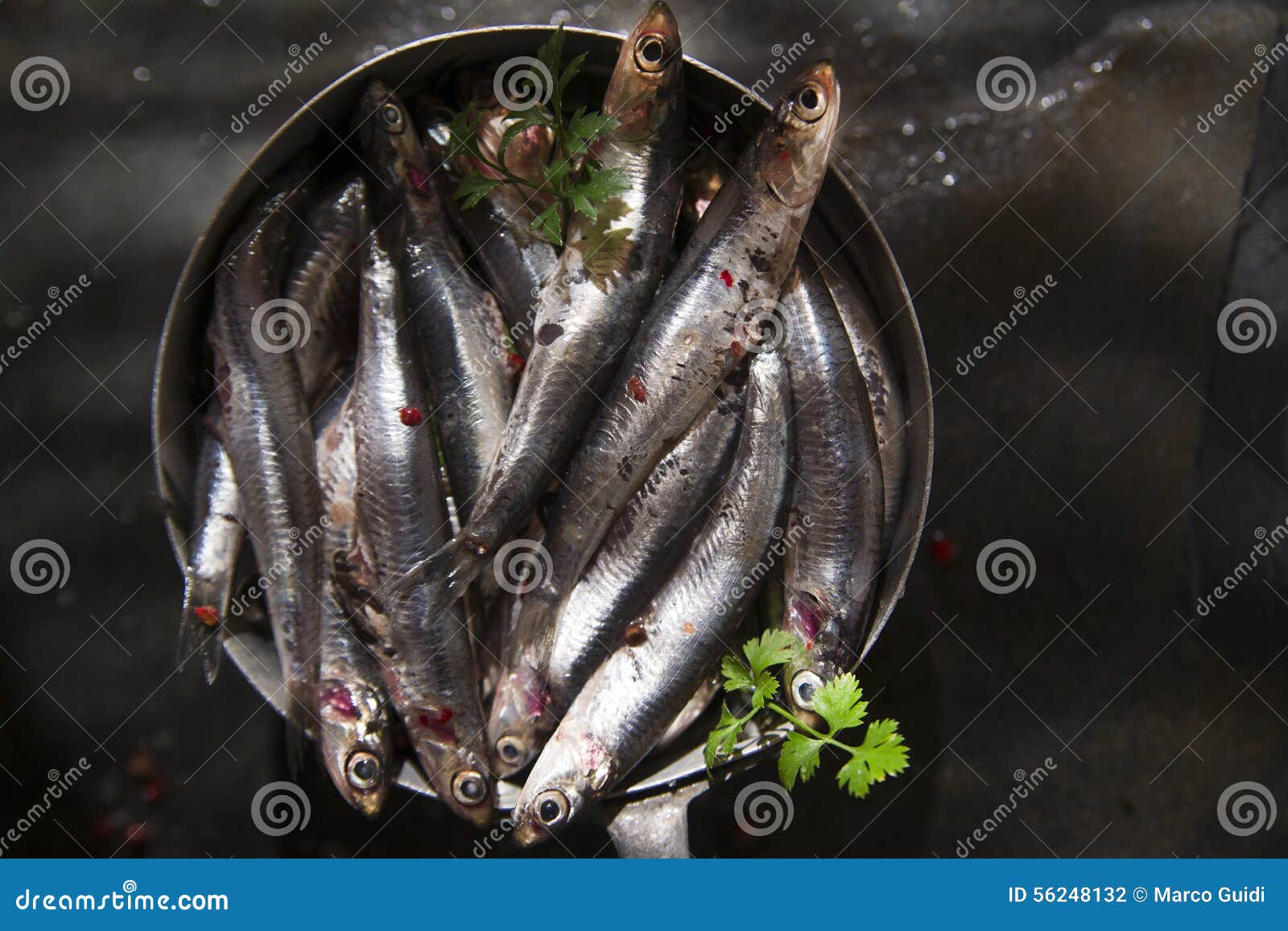 Anchovies stock photo. Image of fish, nutrition, seafood 56248132