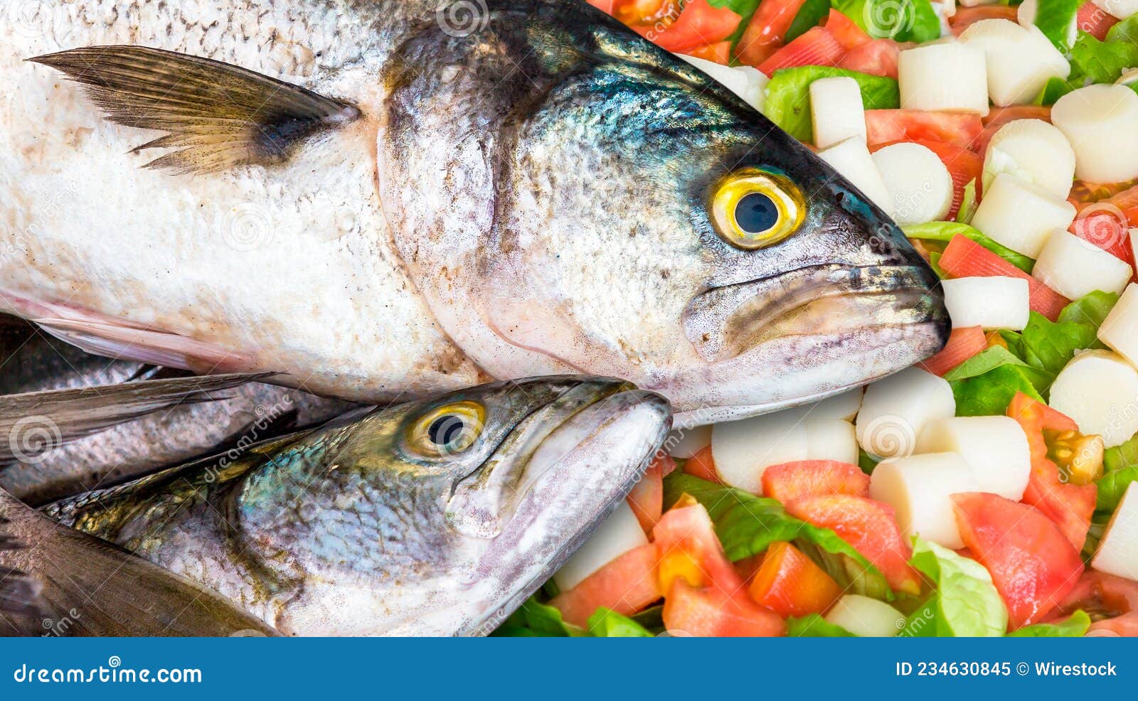 Anchovy fishes on a salad stock image. Image of fillet 234630845