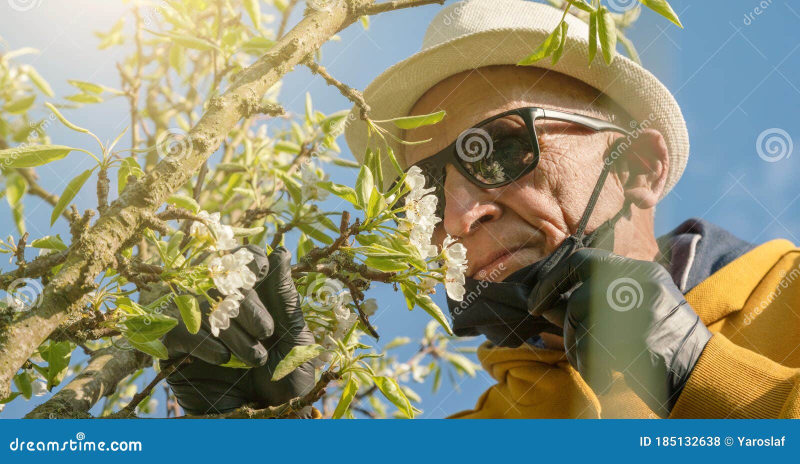 Anciano Con Gafas De Sol Elimina La Máscara Para Oler Las Flores