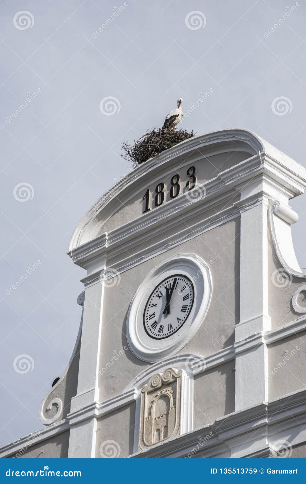ancien building facade with stork nest