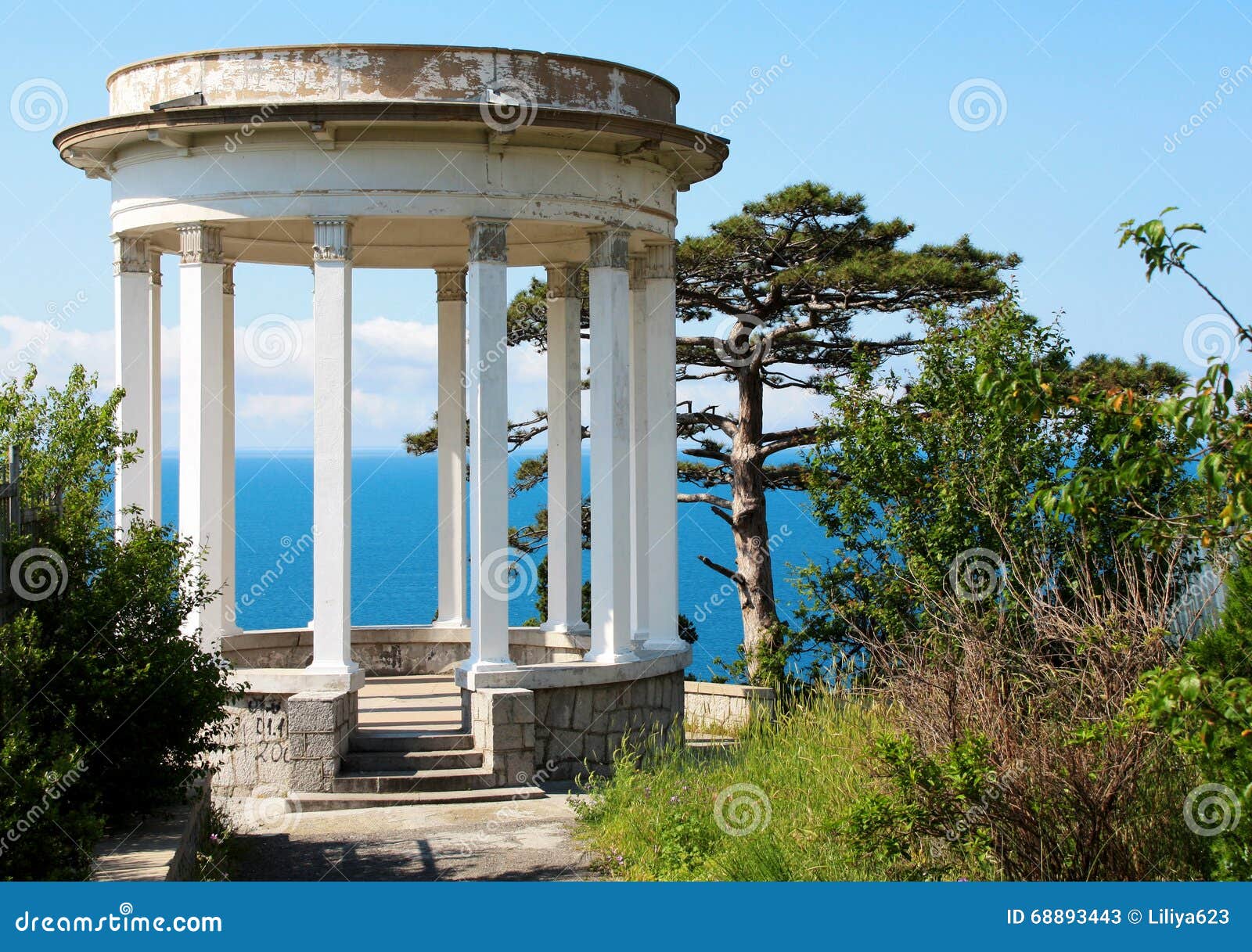 Ancient arbor by the sea stock image. Image of afternoon 68893443