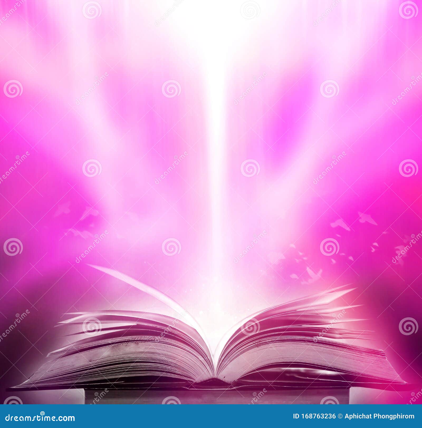 Open magic book with magic lights on a black background, Stock image