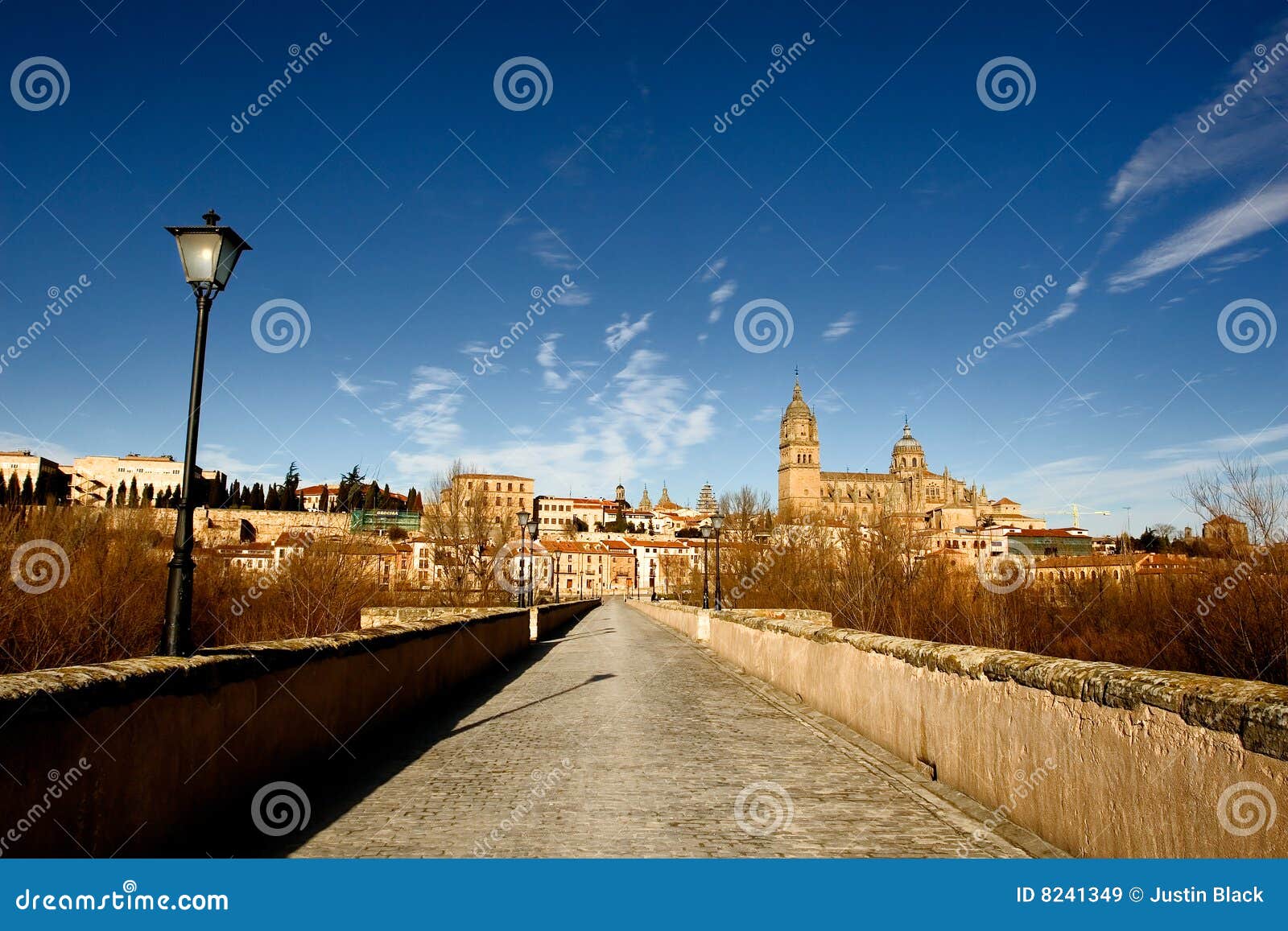 ancient bridge in salamanca, spain