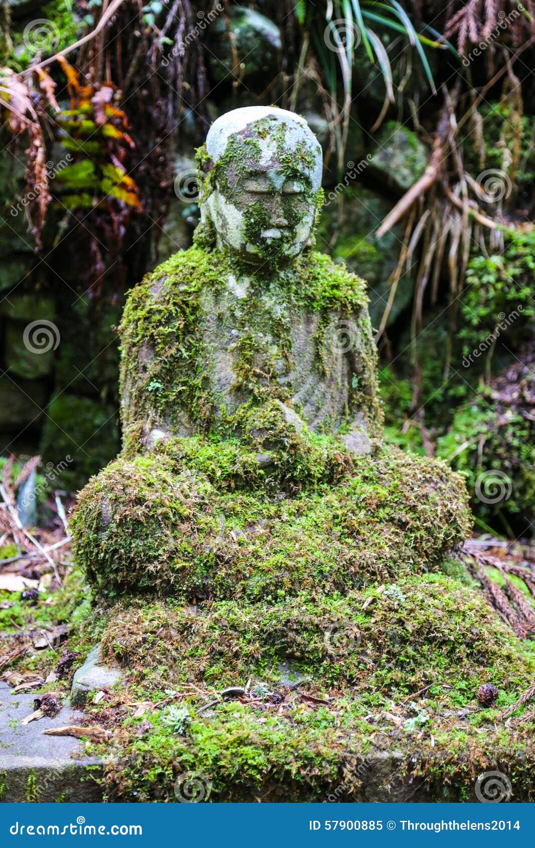 Ancient Buddha Statue in Green Moss in a Forest Stock Image Image of