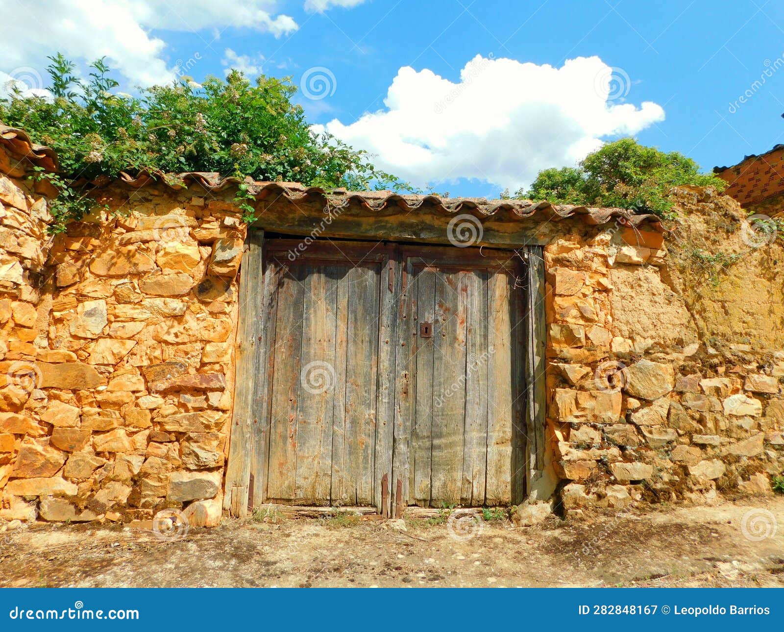 old door in rural landscapes in zamora province