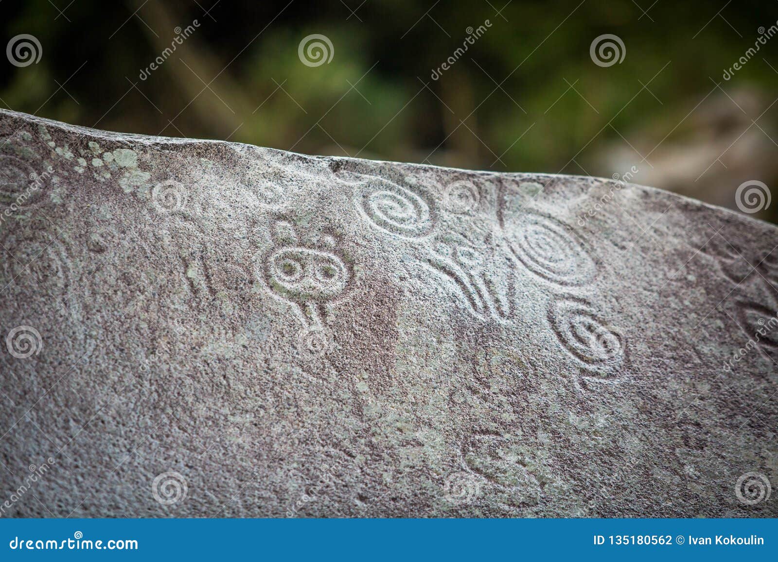 ancient carved figures on stones in jayuya puerto rico