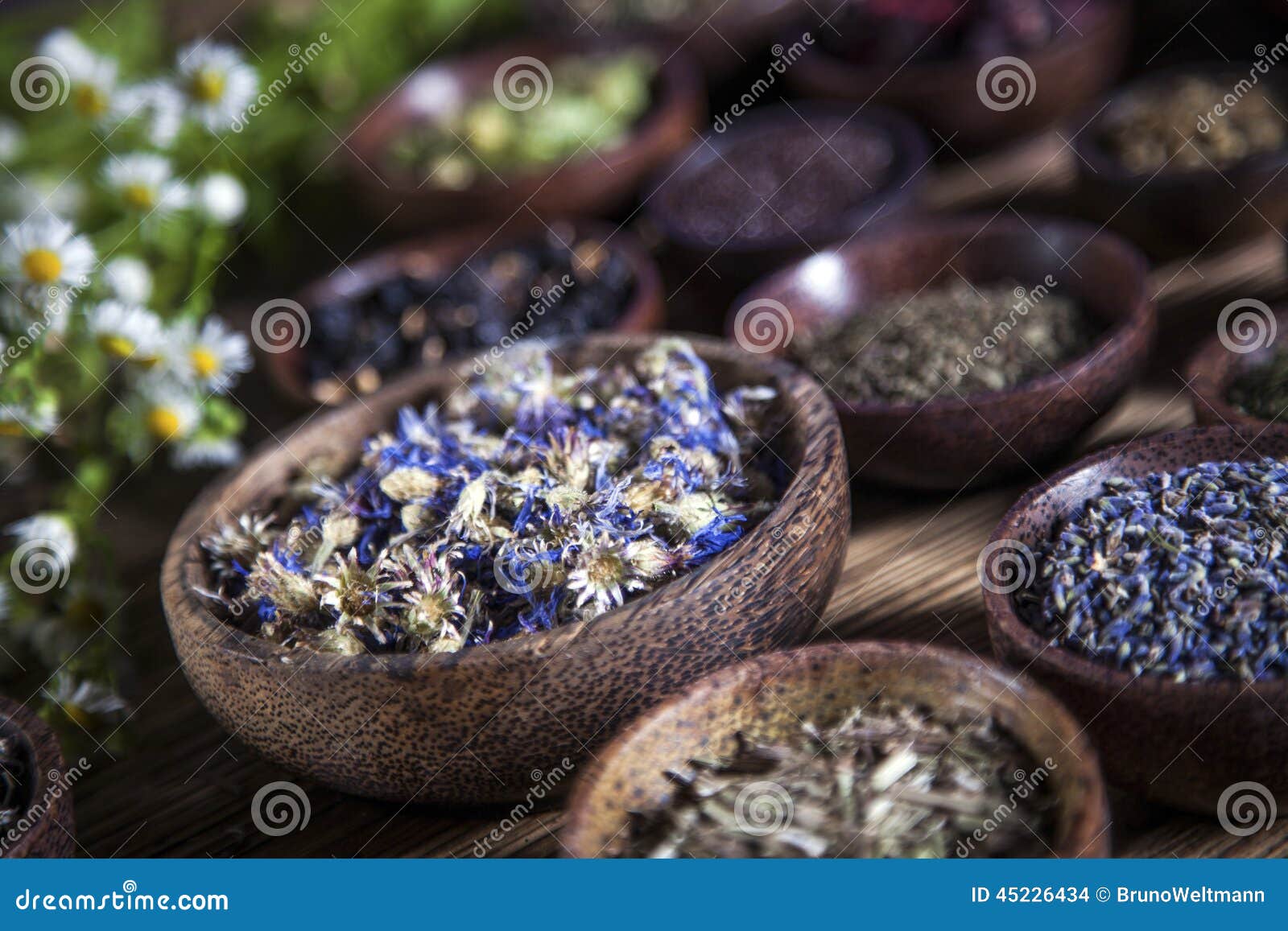 The Ancient Chinese Medicine Stock Photo Image of garden, flower 45226434