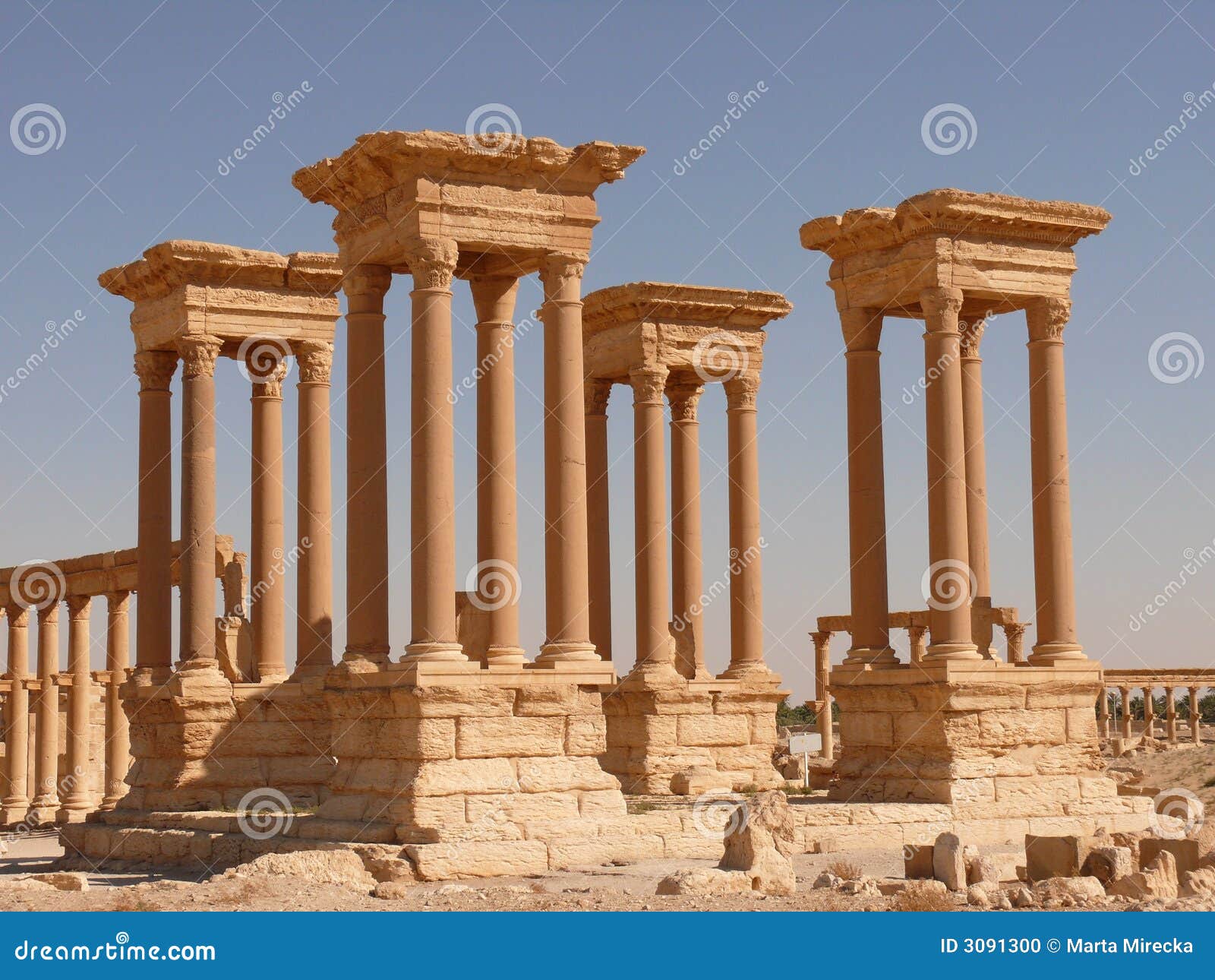 ancient columns, palmyra syria