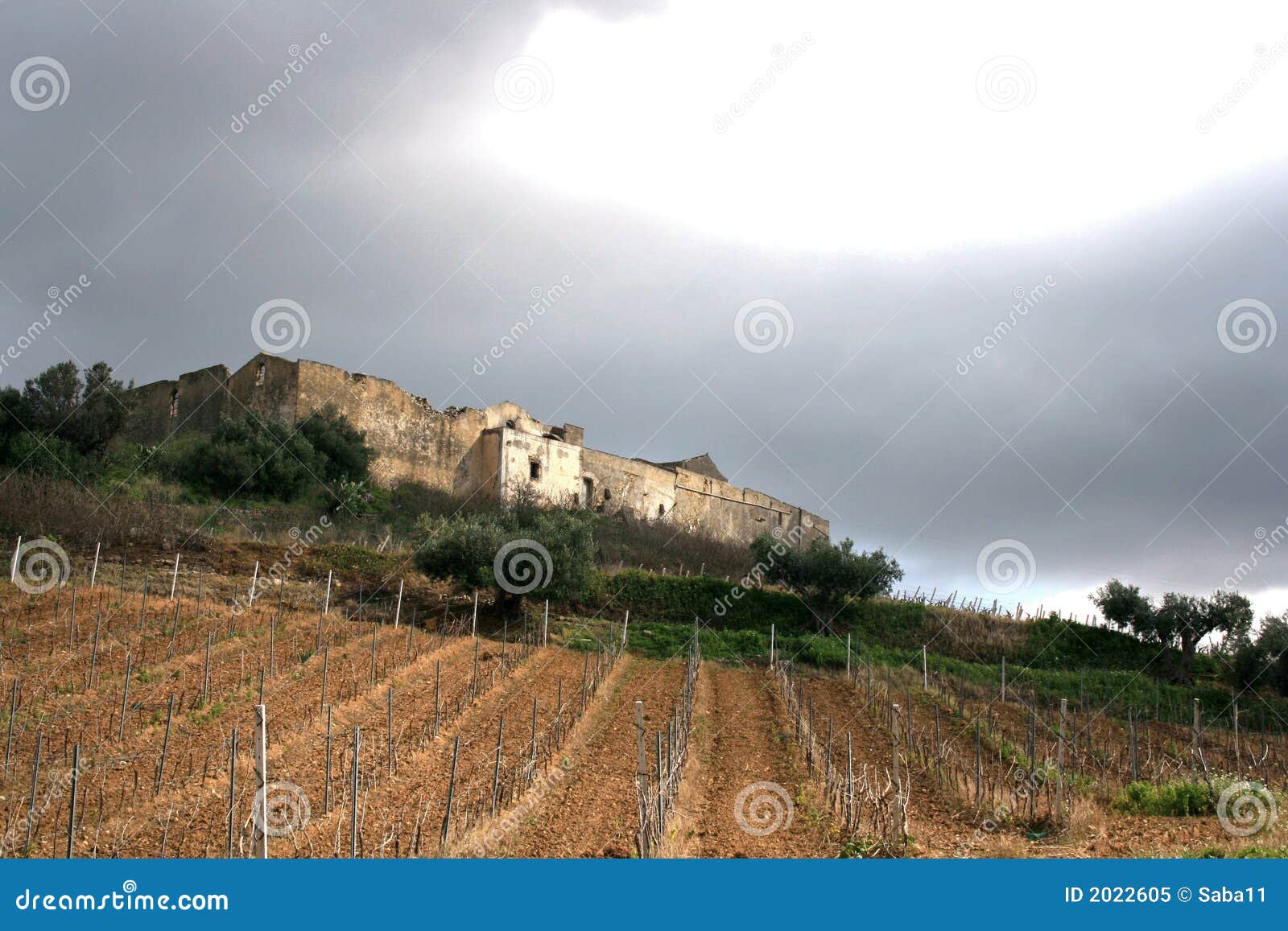 ancient country stronghold farm _ vineyards. fields & trees