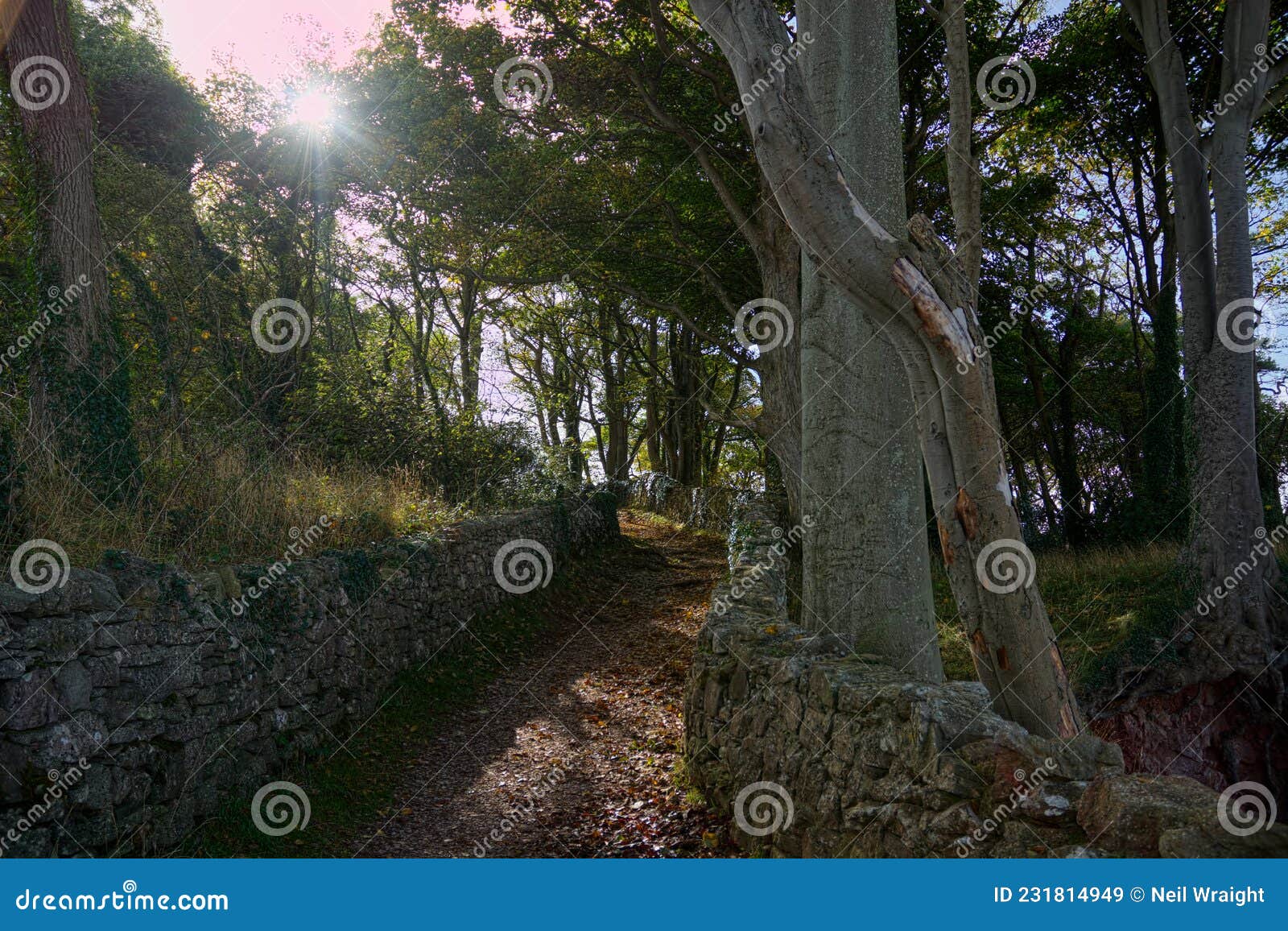 ancient dry stone walling and track
