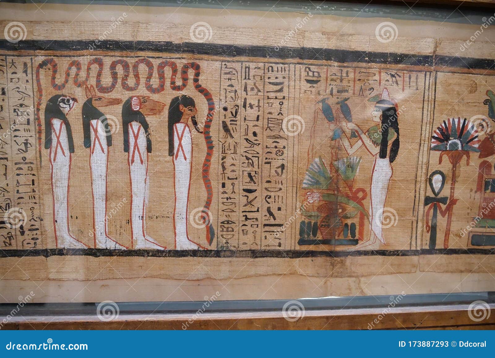 cairo papyrus museum cairo papyrus museum