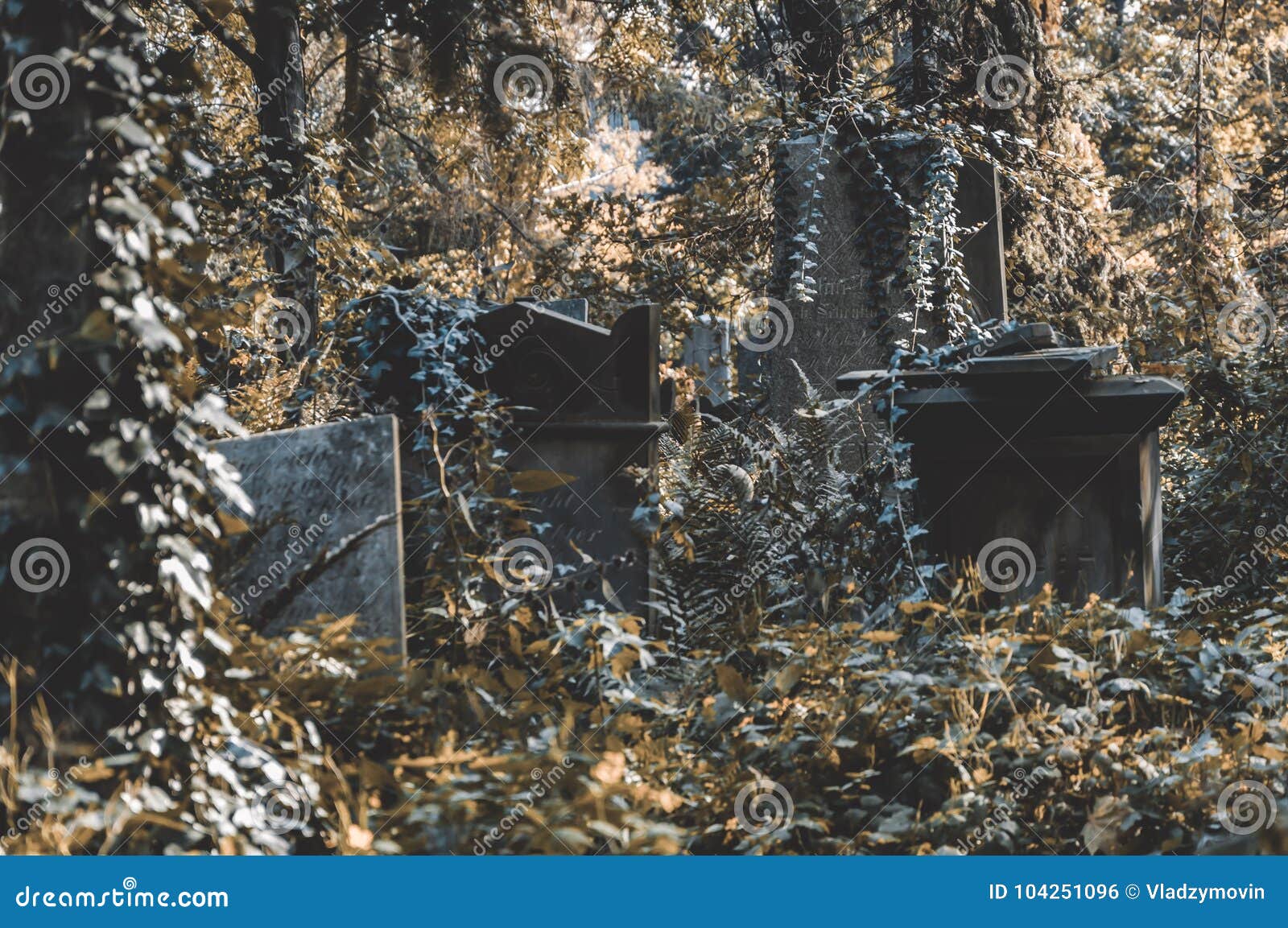 an ancient entombment on the old cemetery