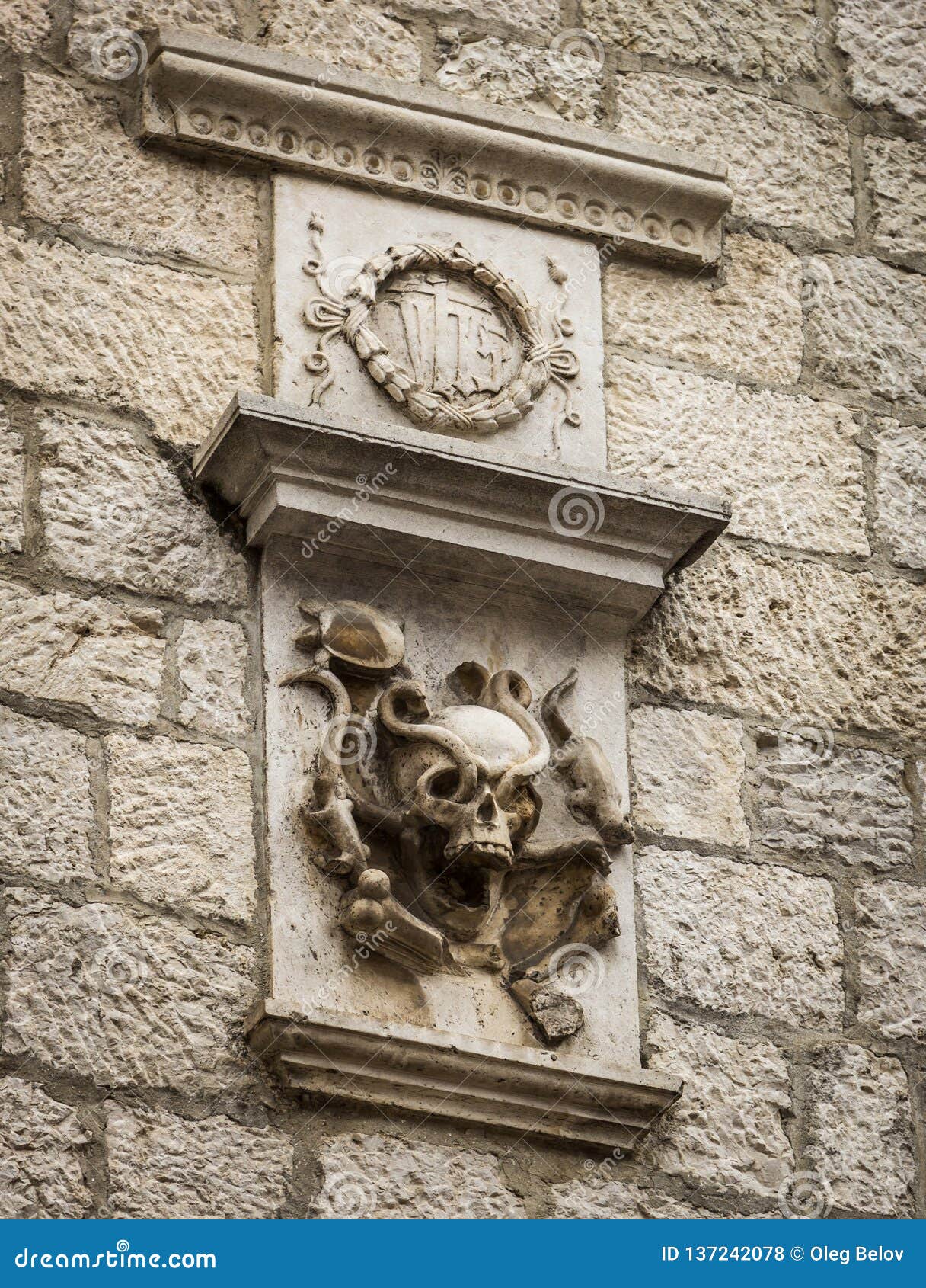 Ancient Family Coat of Arms in the Form of a Skull with Snakes on the ...
